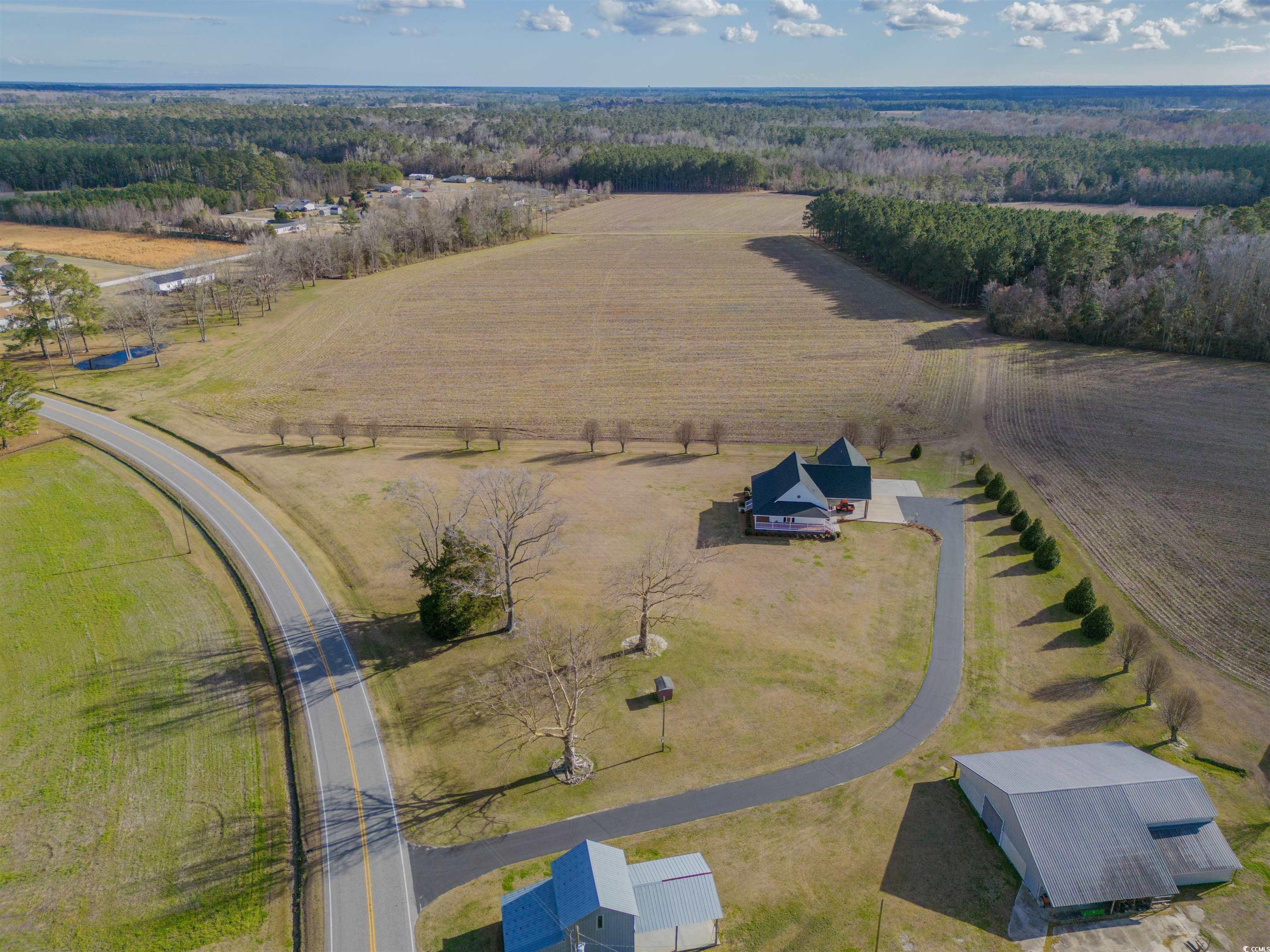 4565 M M Ray Rd., Clarendon, North Carolina image 40