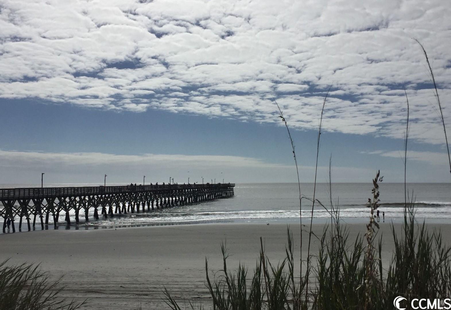 1479 & 1471 Highway 17, Little River, South Carolina image 30