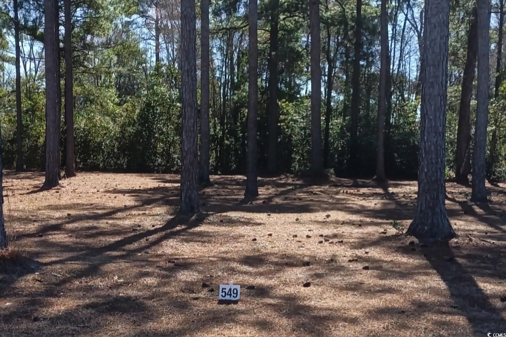 1142 Fiddlehead Way Myrtle Beach, SC 29579