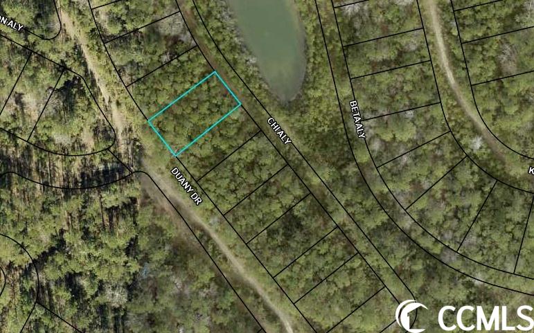 TBD Duany Dr. Georgetown, SC 29440