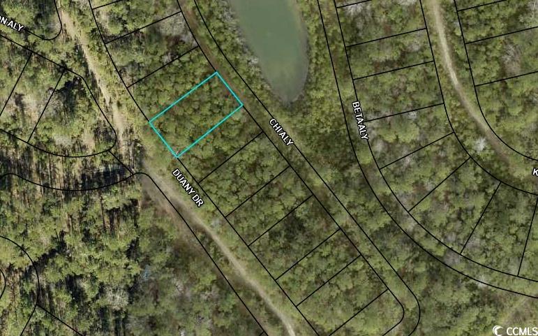 598 Oaklawn Rd., Georgetown, South Carolina image 1