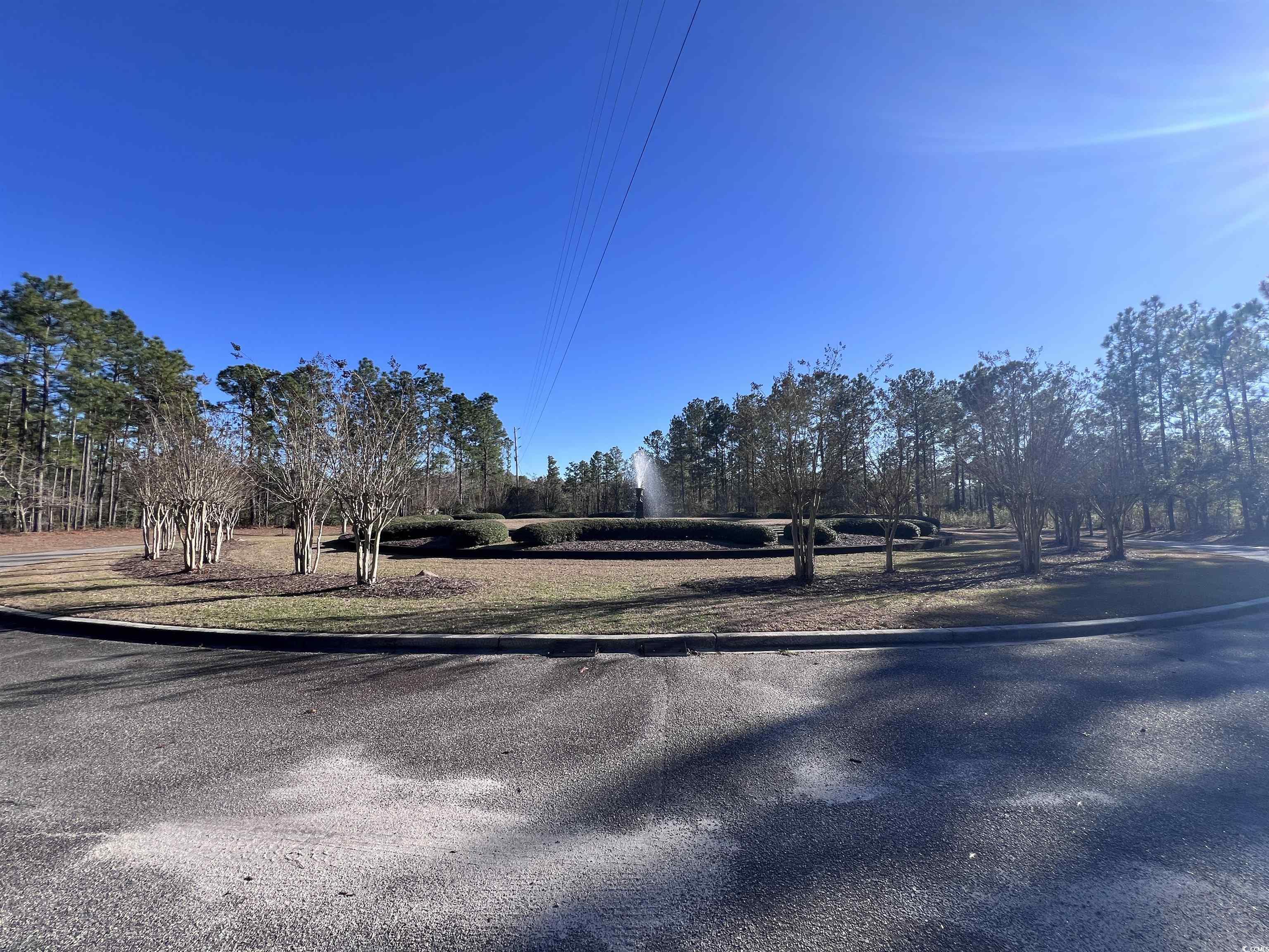 598 Oaklawn Rd., Georgetown, South Carolina image 3