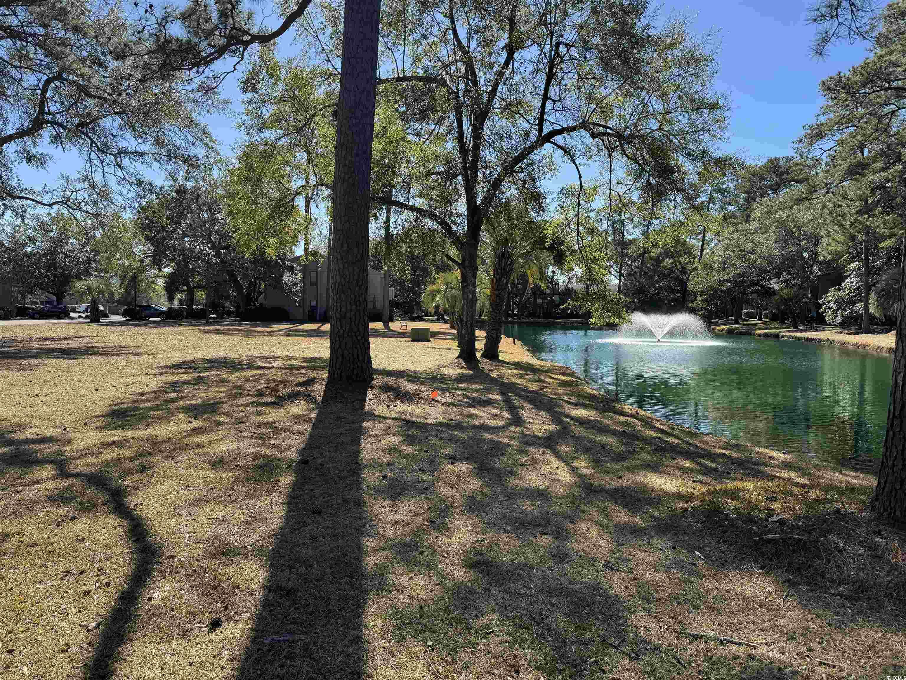 178 Salt Marsh Circle #30F, Pawleys Island, South Carolina image 16