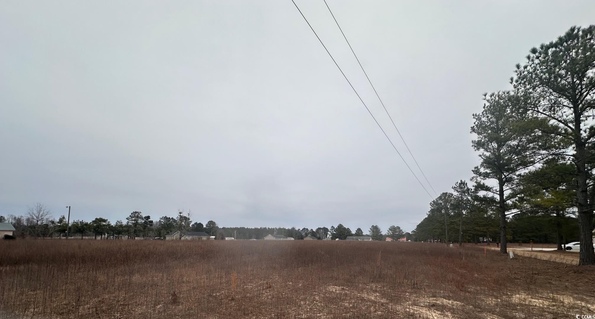 Lot A Lexyryan Ct., Latta, South Carolina image 2