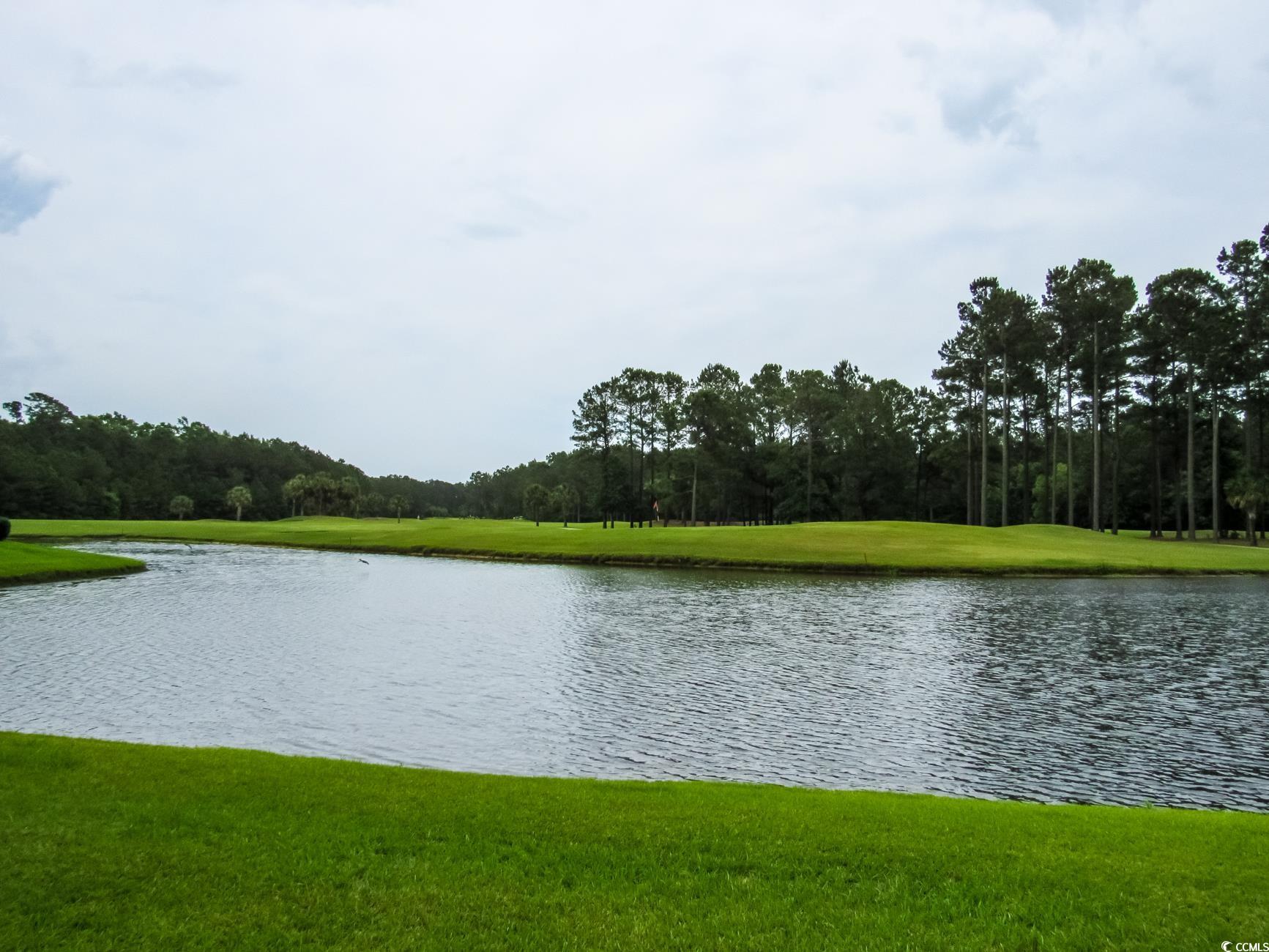 115 Veranda Way #6-F, Murrells Inlet, South Carolina image 30