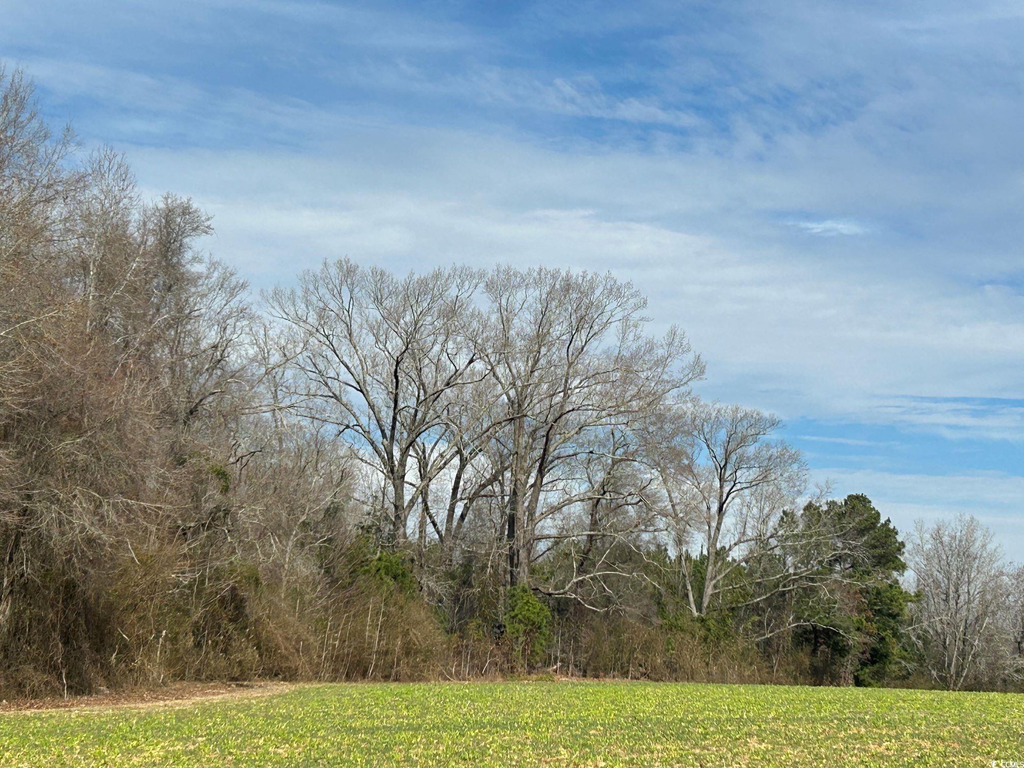 TBD Highway 792 Loris, SC 29569