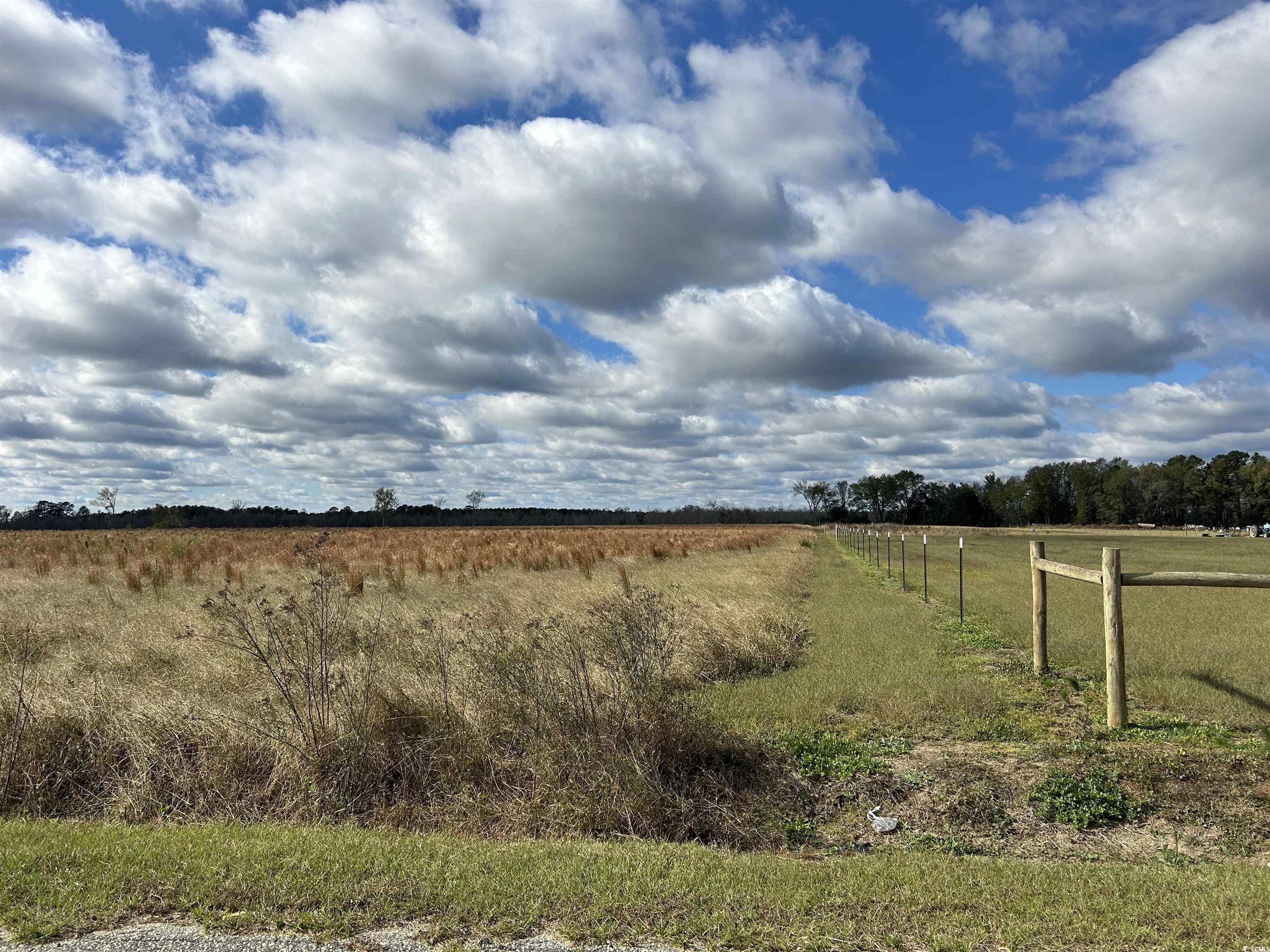 TBD Gum Swamp Rd., Sellers, South Carolina image 17