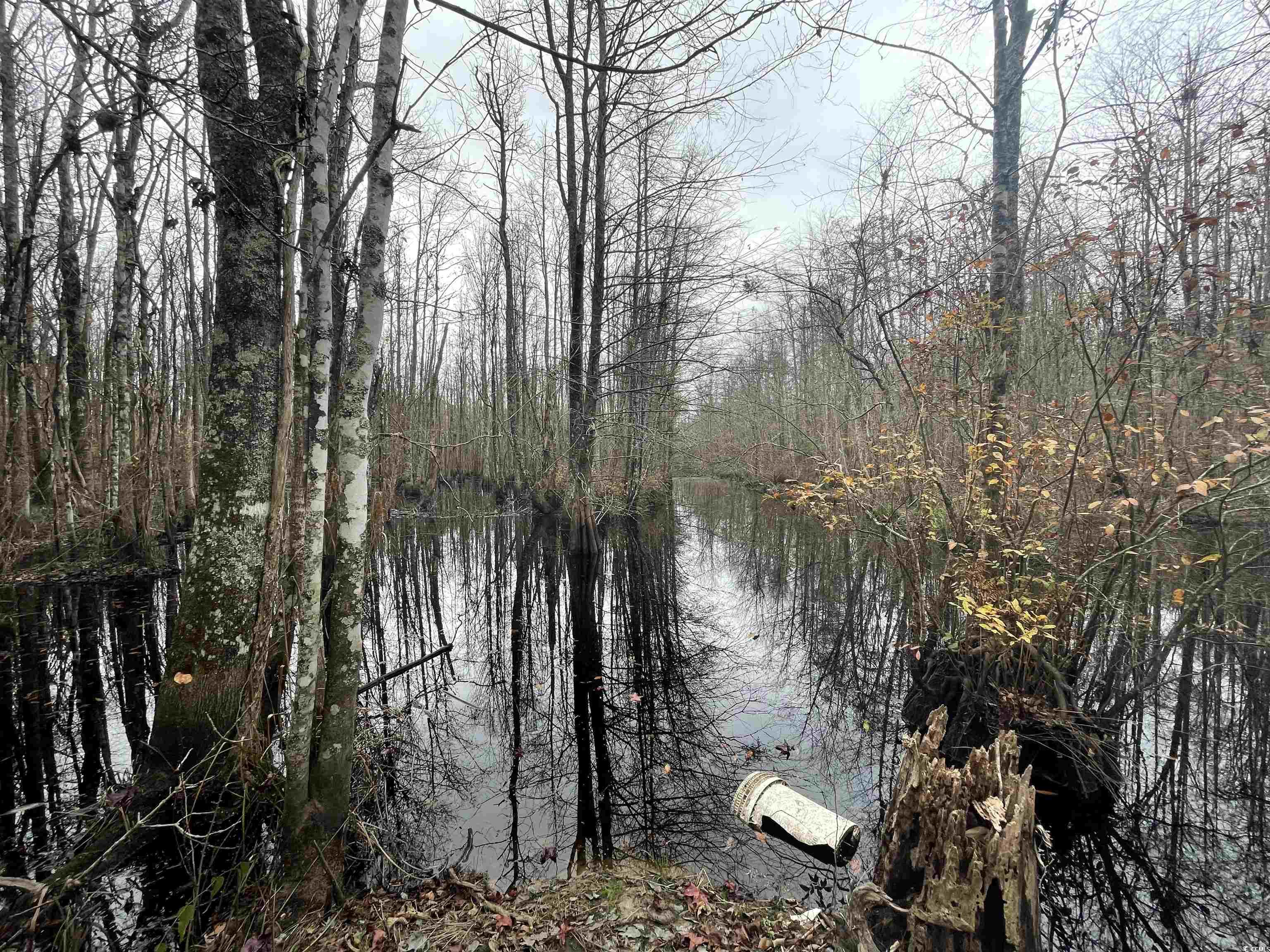 TBD Gum Swamp Rd., Sellers, South Carolina image 20