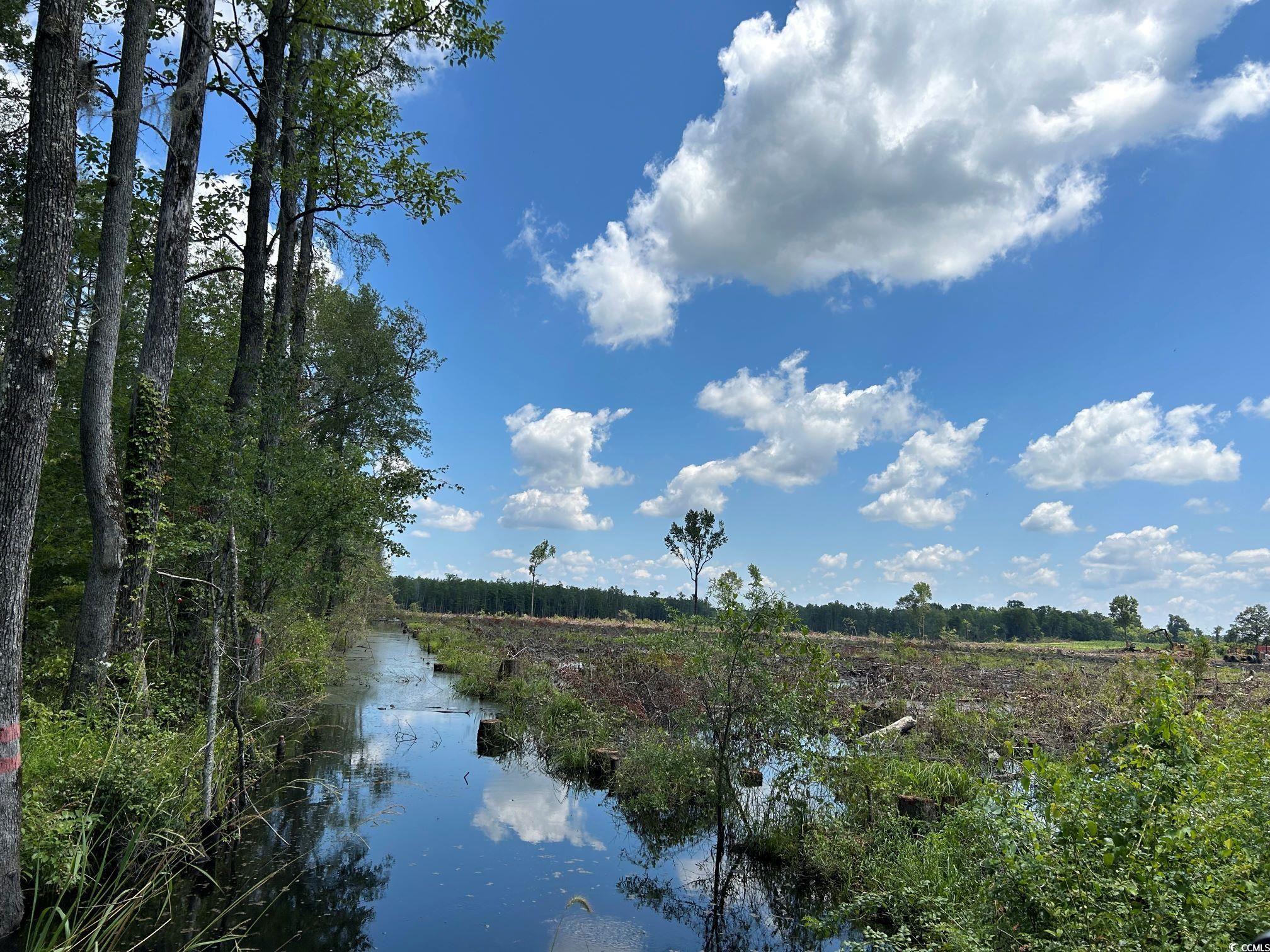 TBD Gum Swamp Rd., Sellers, South Carolina image 22