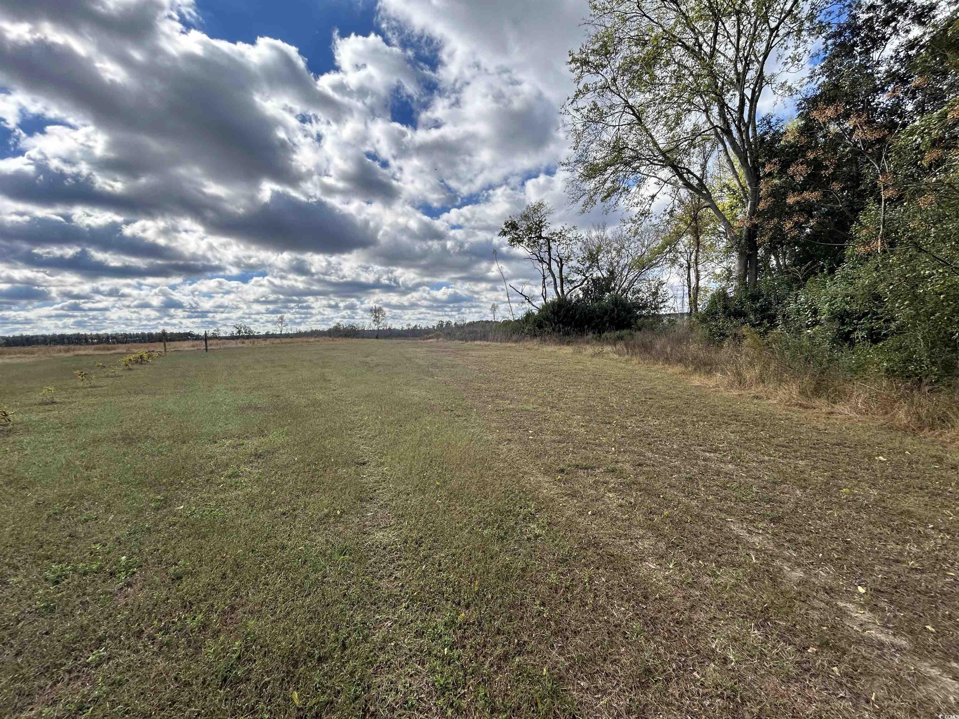 TBD Gum Swamp Rd., Sellers, South Carolina image 8