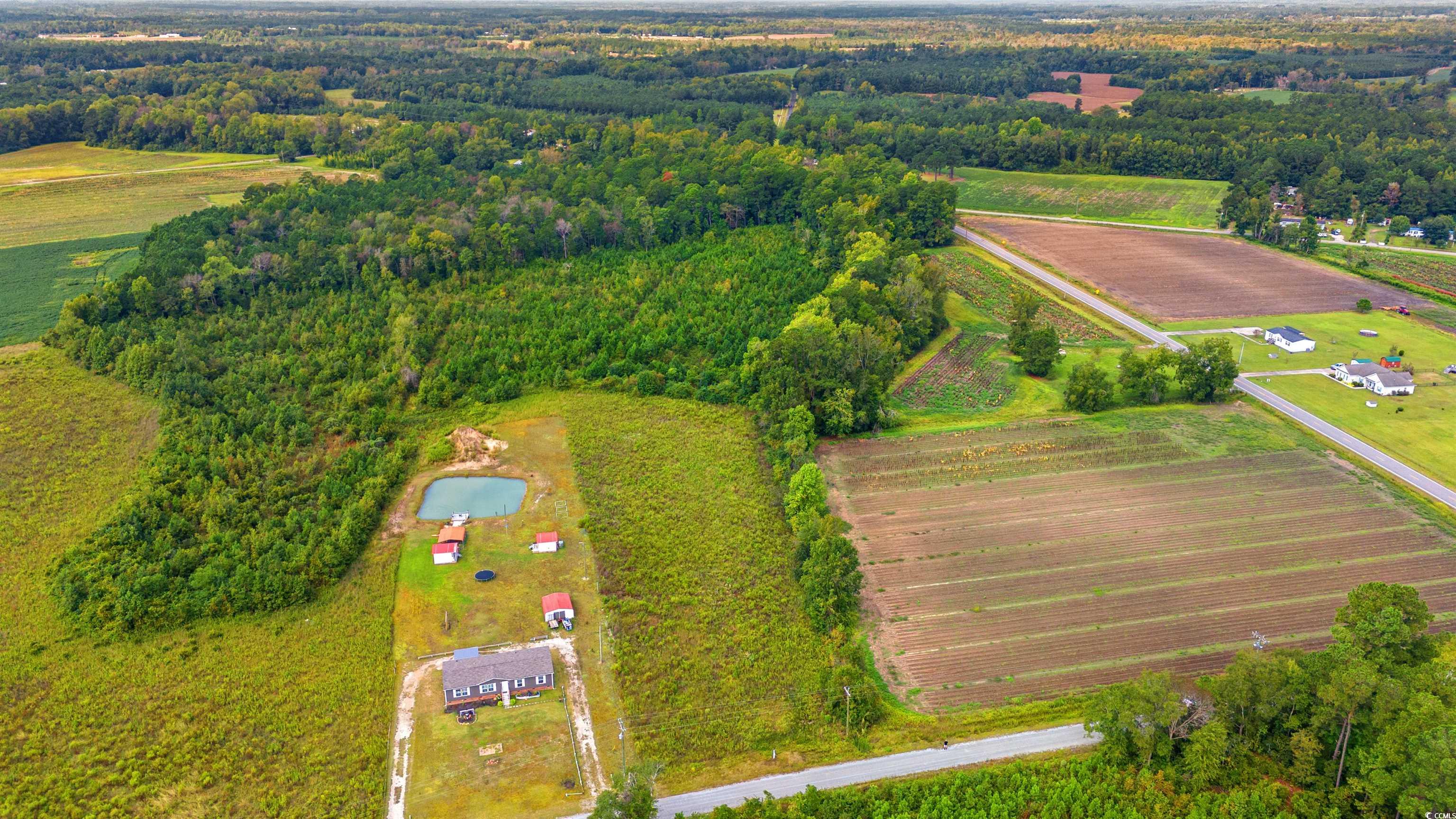 159 Dove Rd., Loris, South Carolina image 4