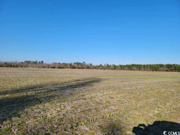 TBD1 Ellwood Rd., Galivants Ferry, South Carolina image 15