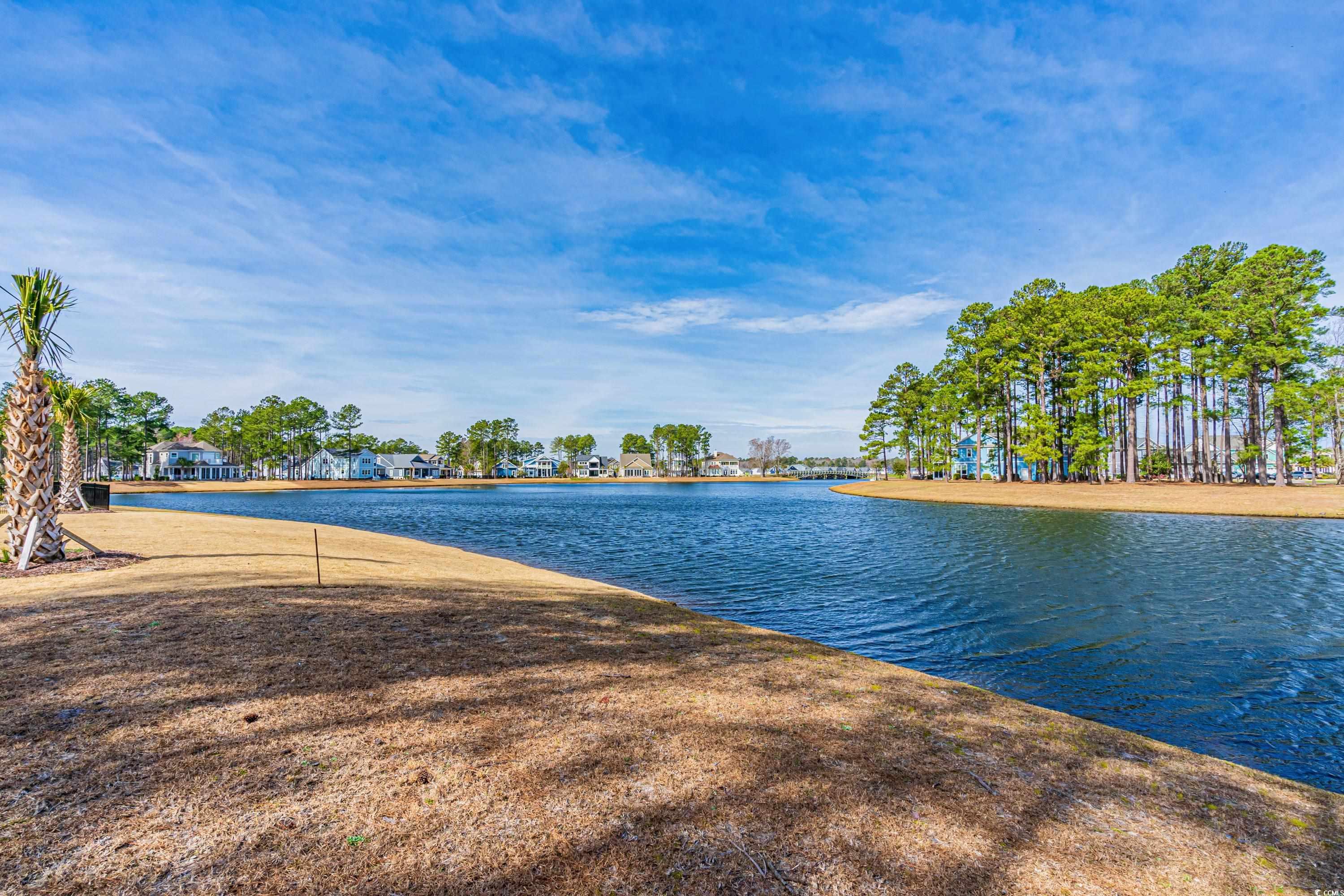 931 Fiddlehead Way Myrtle Beach, SC 29579