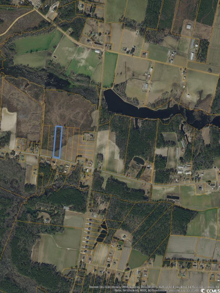 Tbd Joyner Swamp Rd. Galivants Ferry, SC 29544