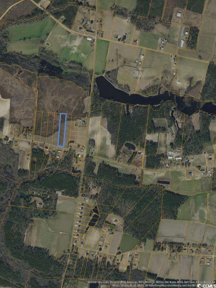 Tbd Joyner Swamp Rd. Galivants Ferry, SC 29544
