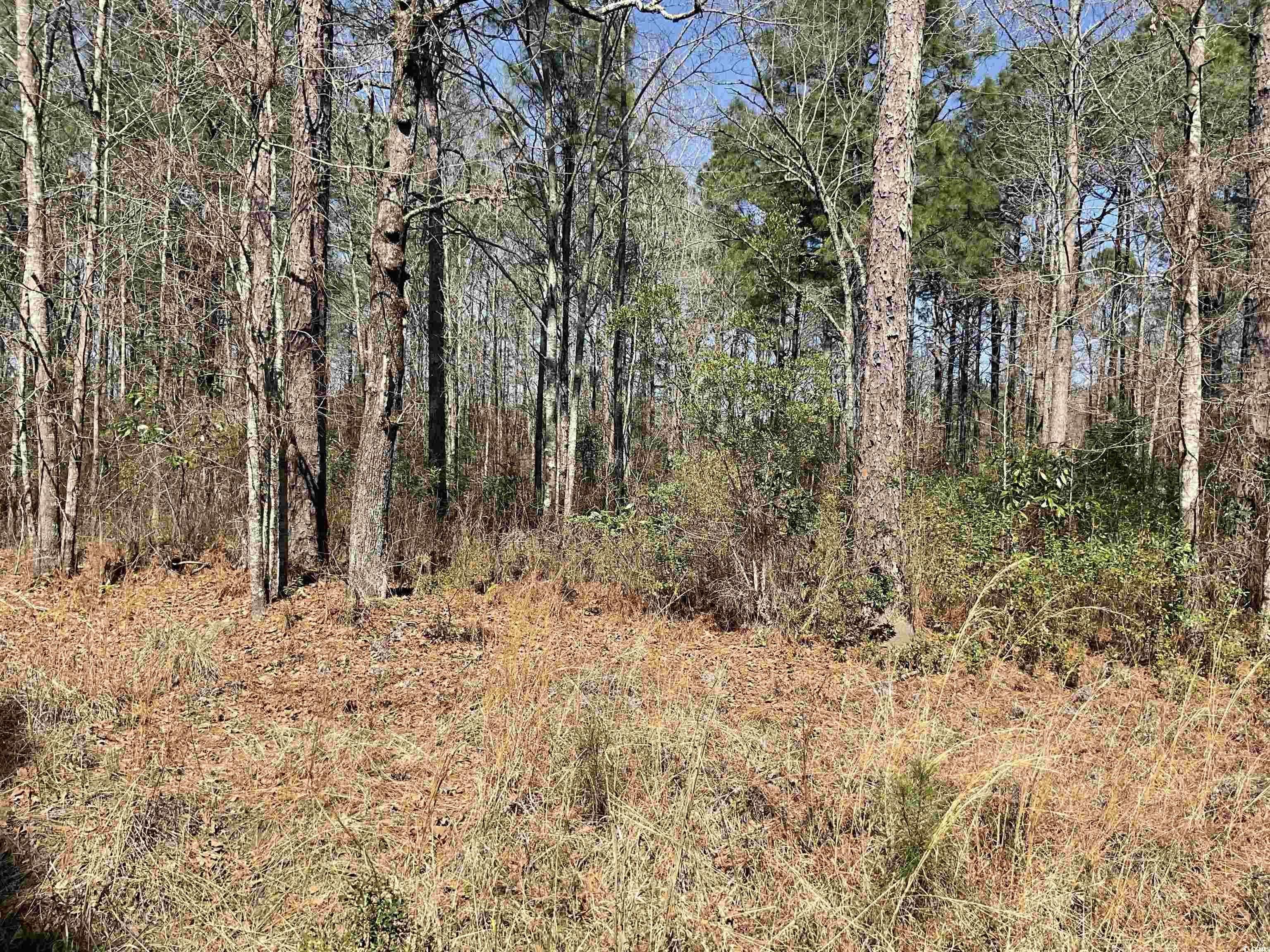 TBD Florence Ln. Kingstree, SC 29556