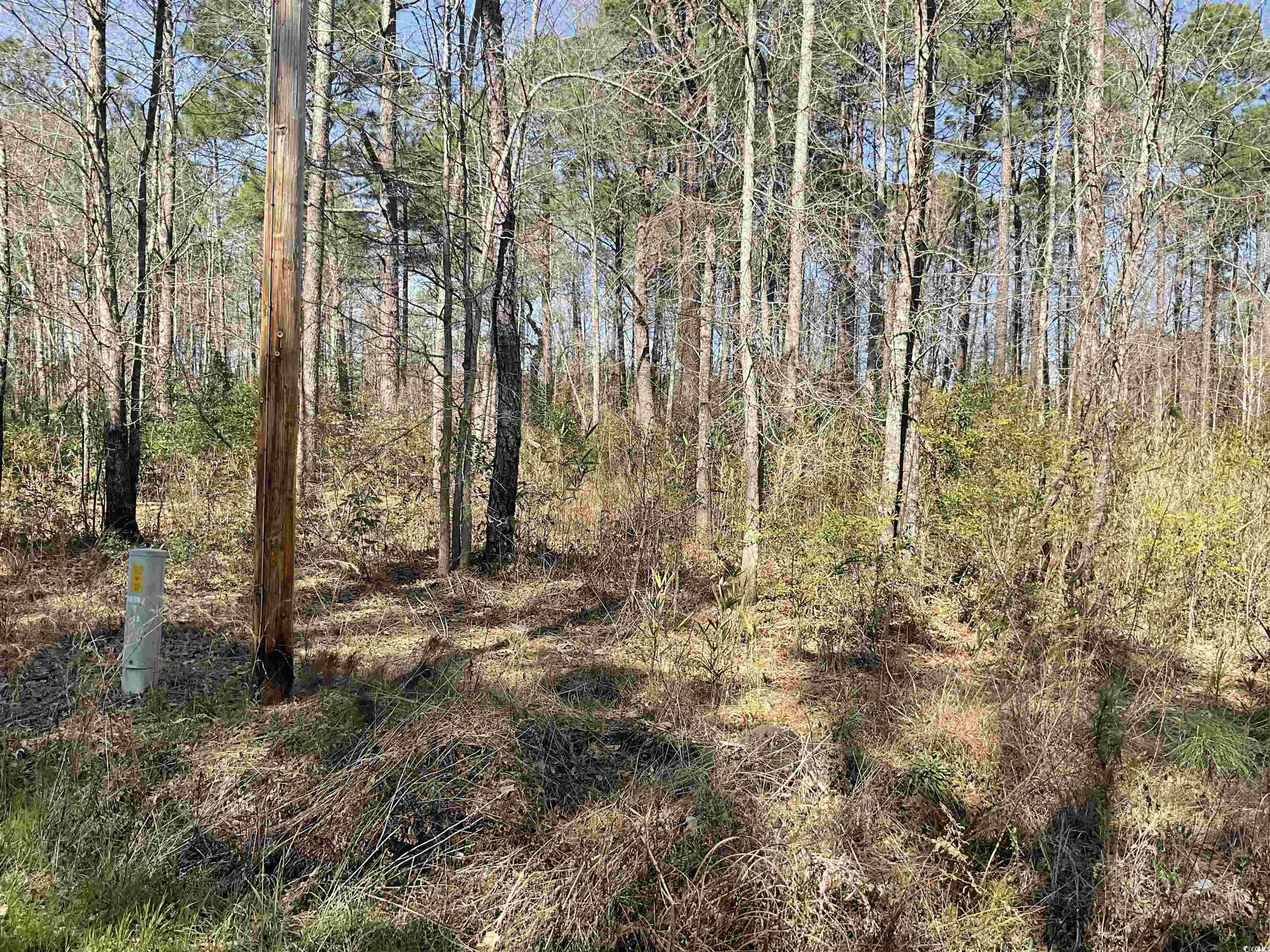 TBD Florence Ln., Kingstree, South Carolina image 3