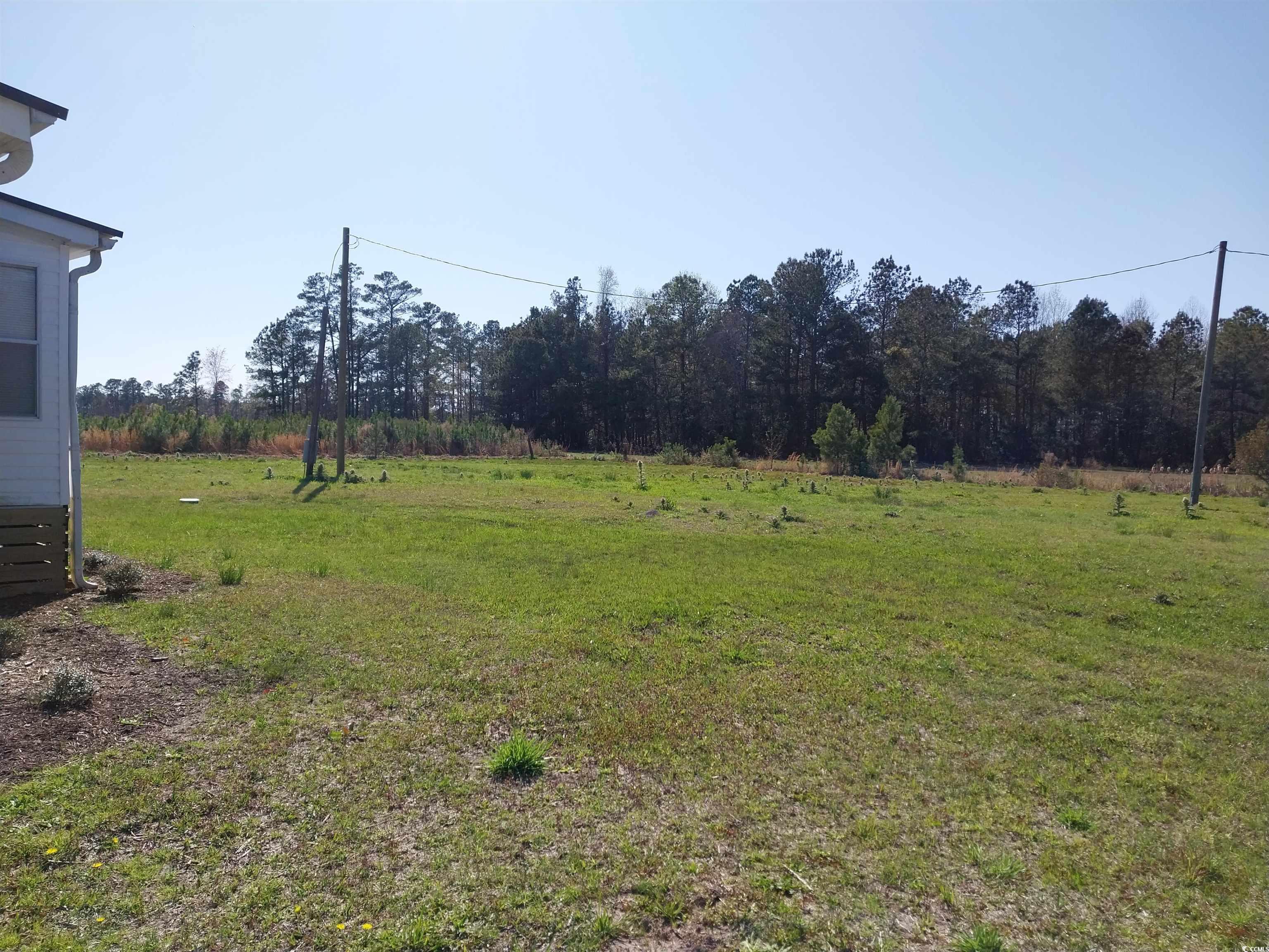 4725 Page Rd., Galivants Ferry, South Carolina image 31