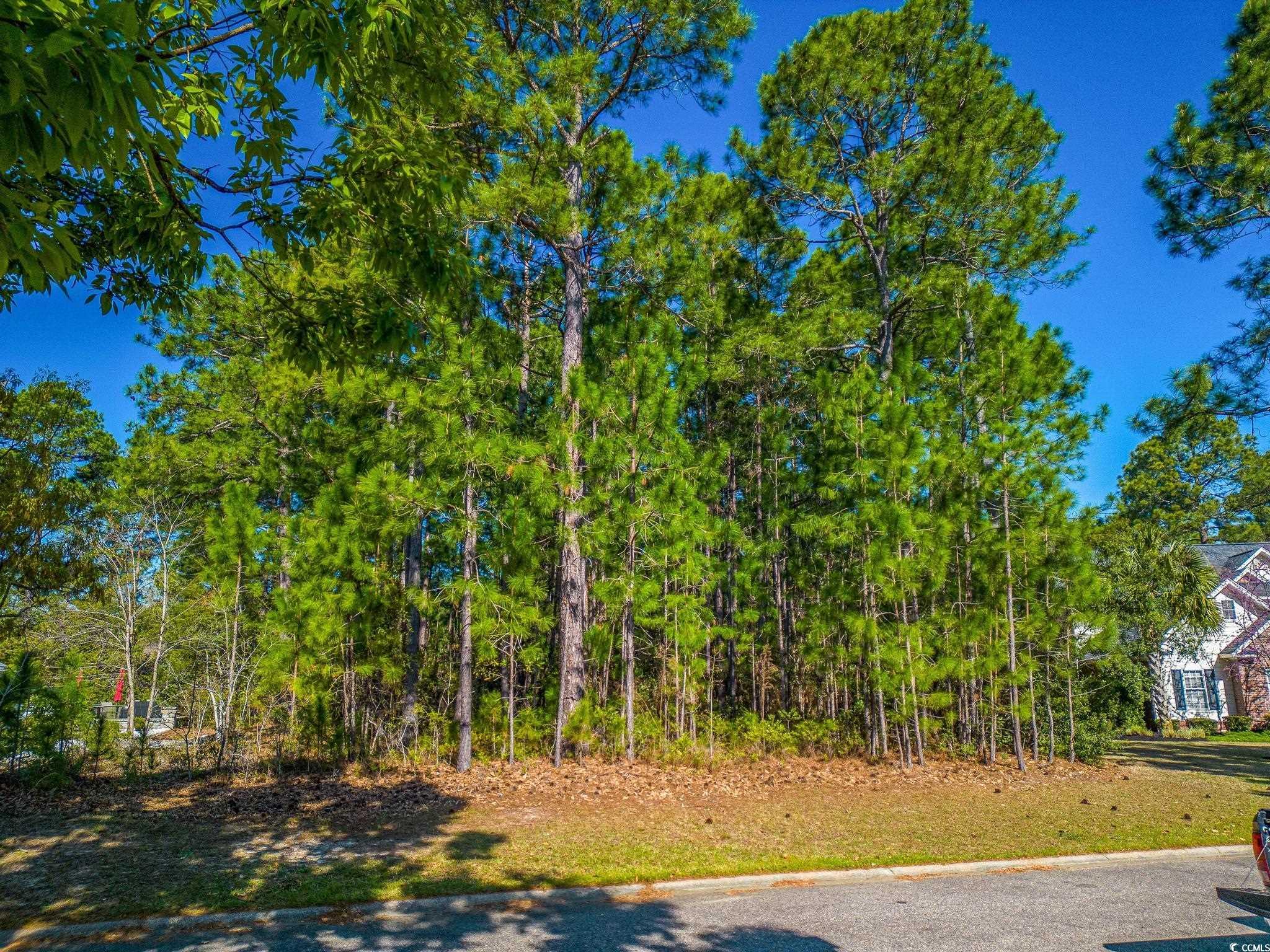 4374 Winged Foot Ct. Myrtle Beach, SC 29579