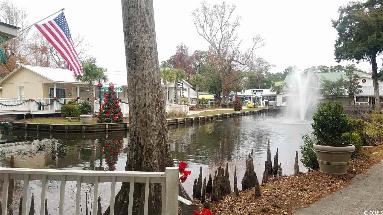 10599 Ocean Hwy., Pawleys Island, South Carolina image 6