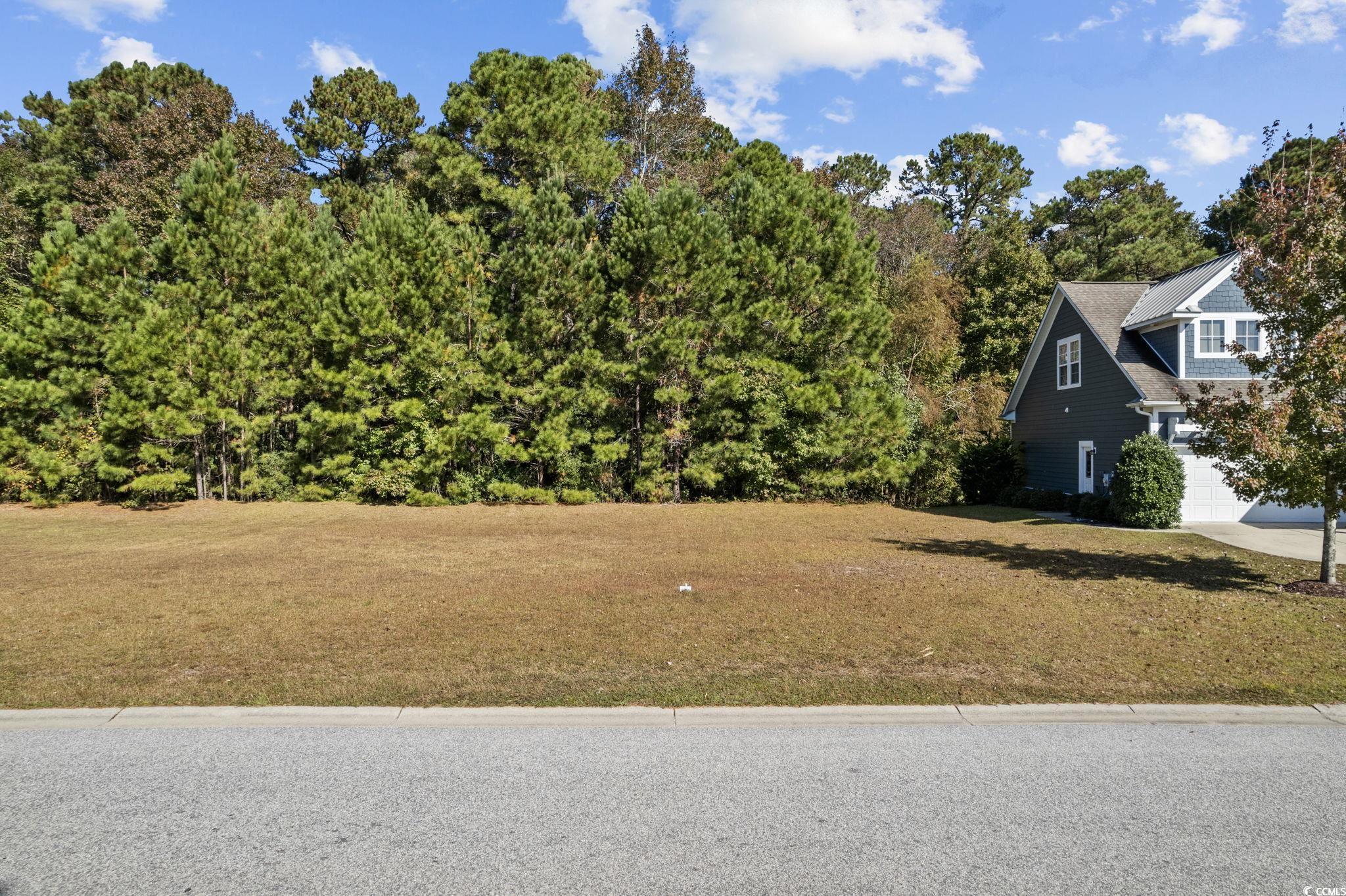 3029 Moss Bridge Ln. Myrtle Beach, SC 29579