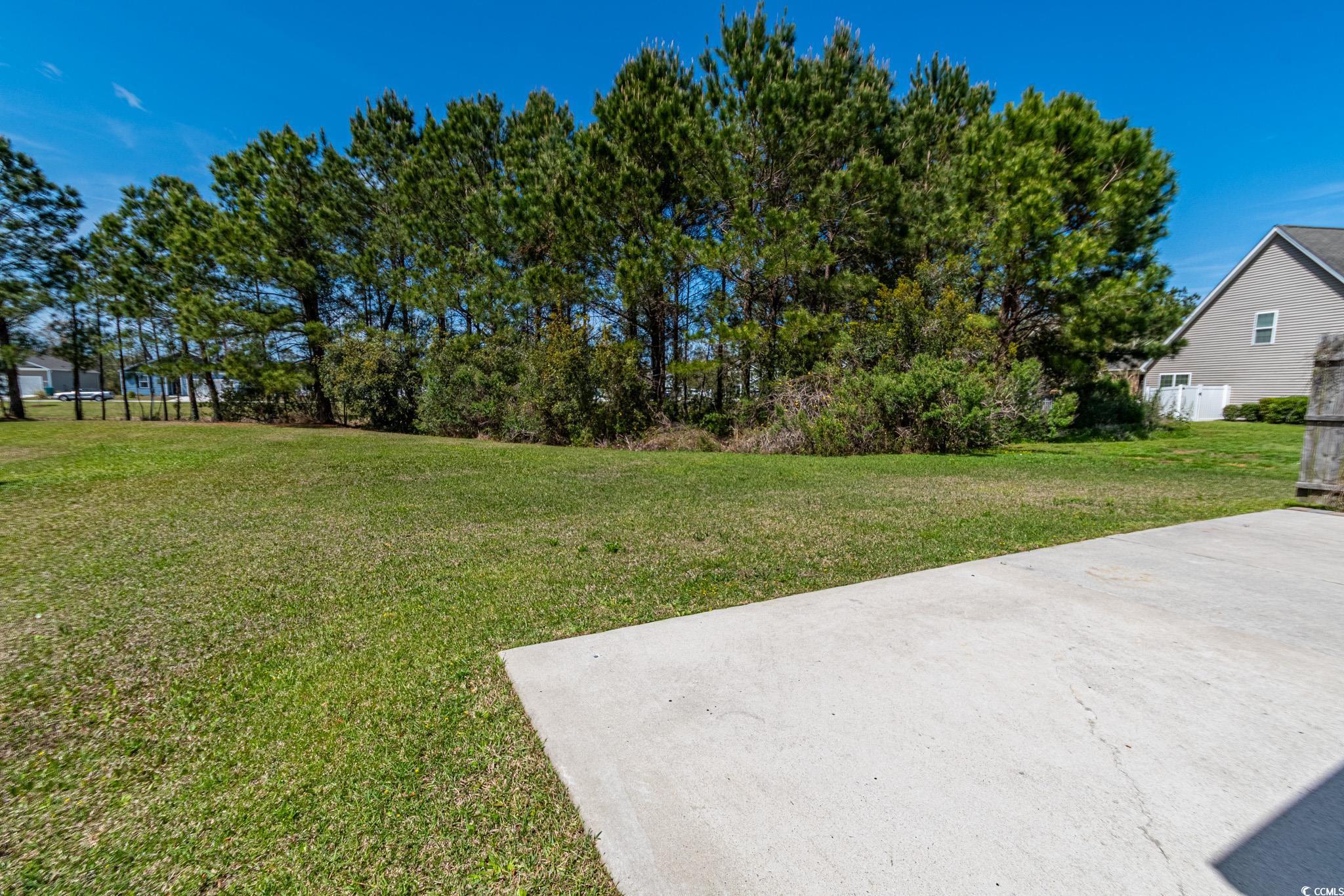 290 Seagrass Loop, Myrtle Beach, South Carolina image 25