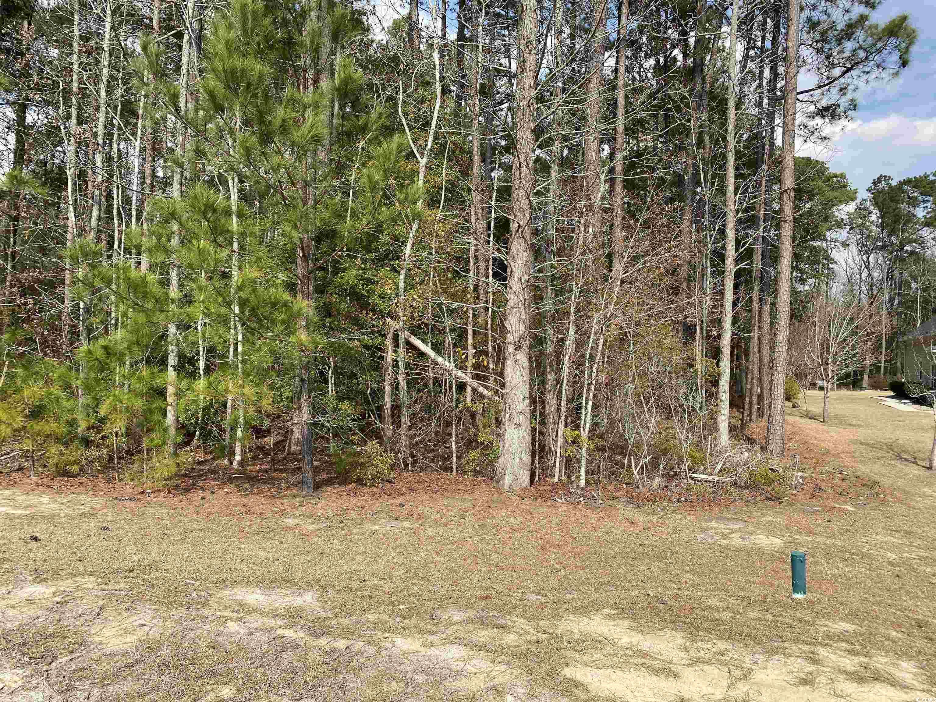 491 Trestle Way Conway, SC 29526