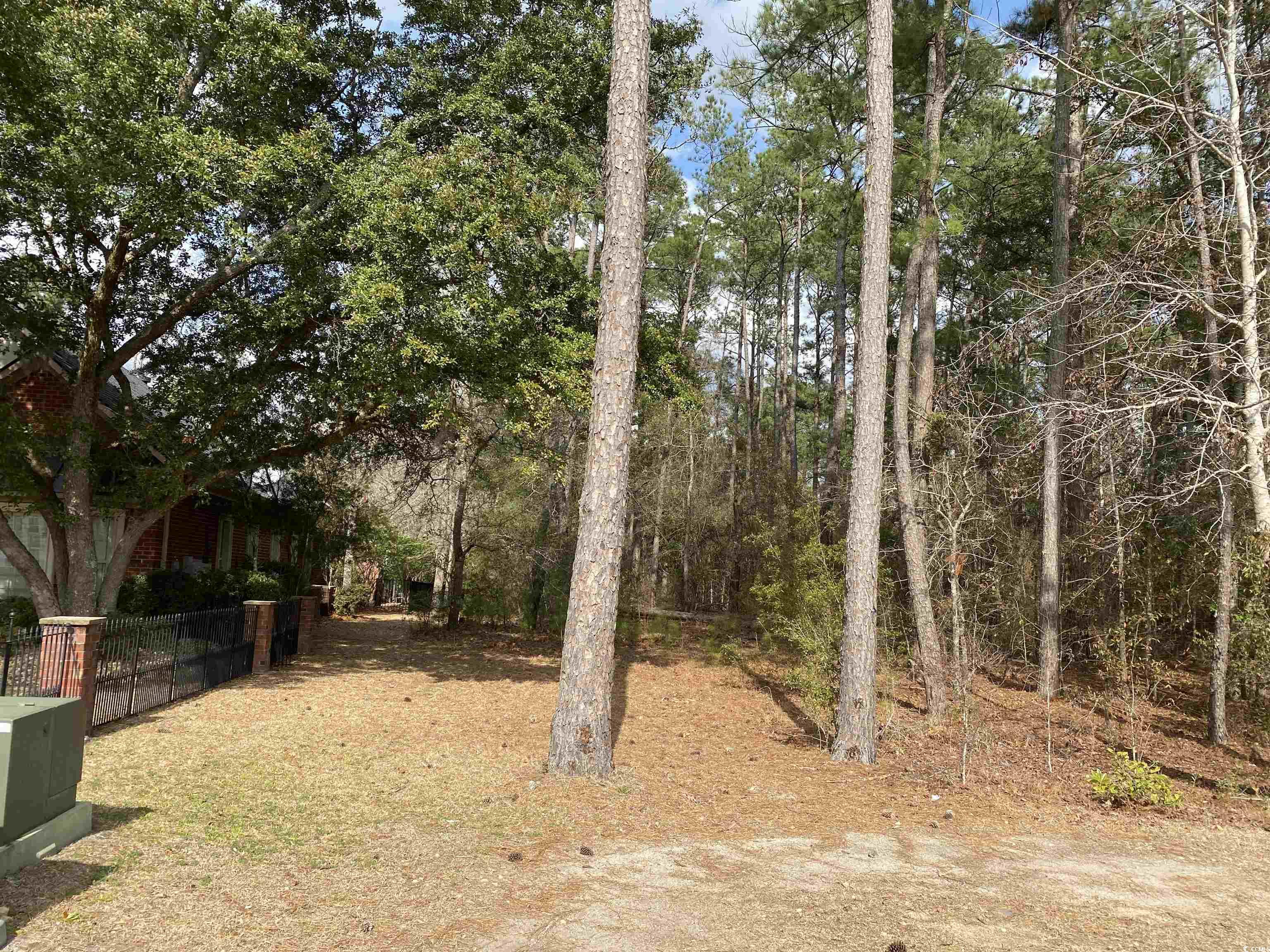 491 Trestle Way, Conway, South Carolina image 7