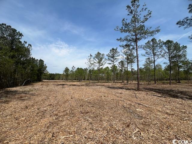 TBD Huckleberry Rd. Galivants Ferry, SC 29544