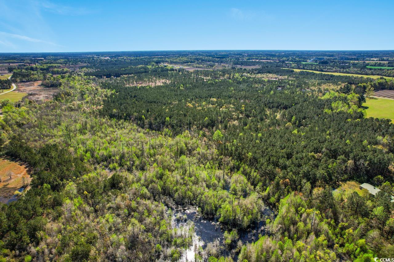 TBD Huckleberry Rd., Galivants Ferry, South Carolina image 12