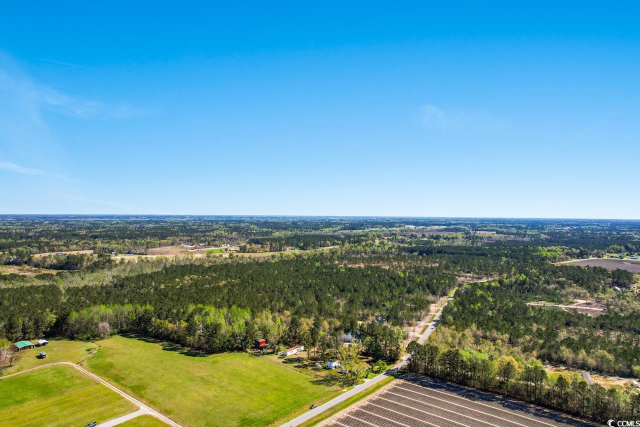 TBD Huckleberry Rd., Galivants Ferry, South Carolina image 8