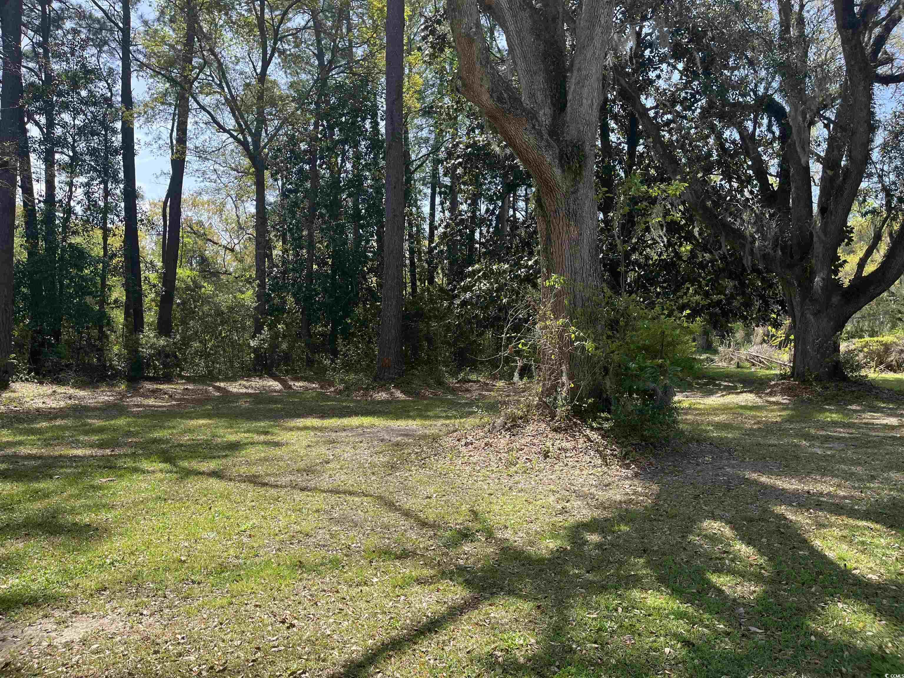 221 Robert Conway Ct., Georgetown, South Carolina image 2