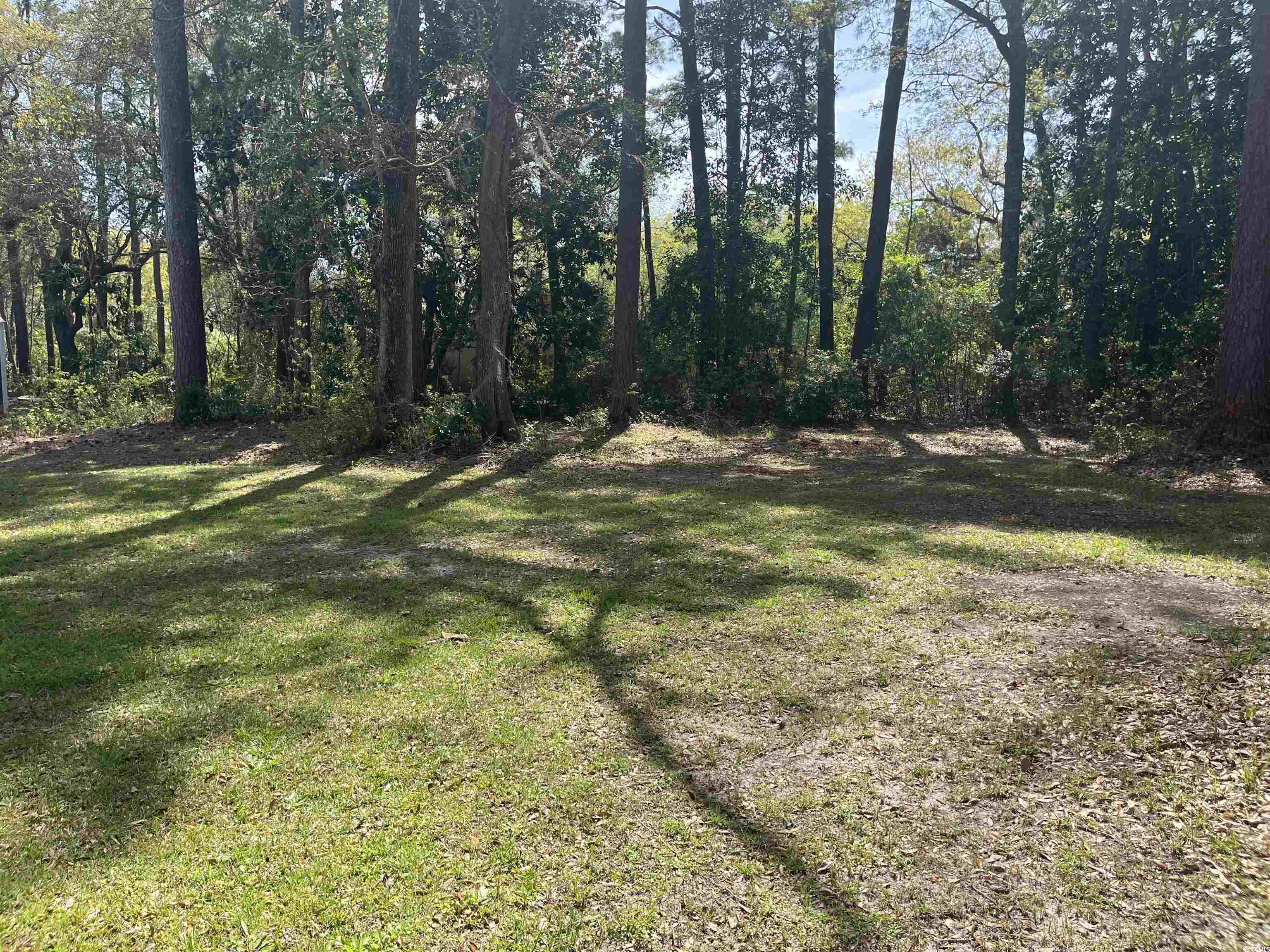 221 Robert Conway Ct., Georgetown, South Carolina image 3