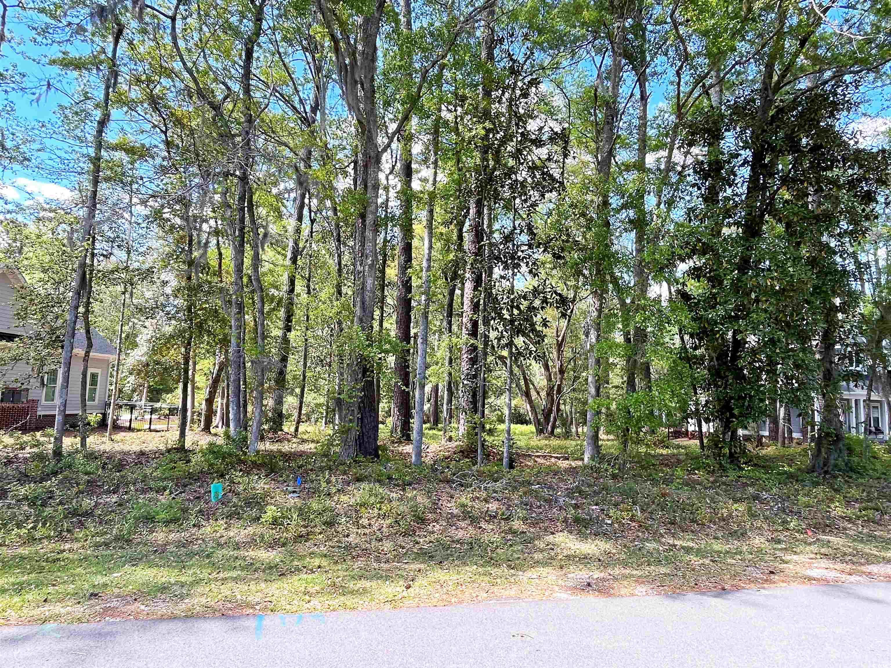 Lot 4 Tuckers Rd. Pawleys Island, SC 29585