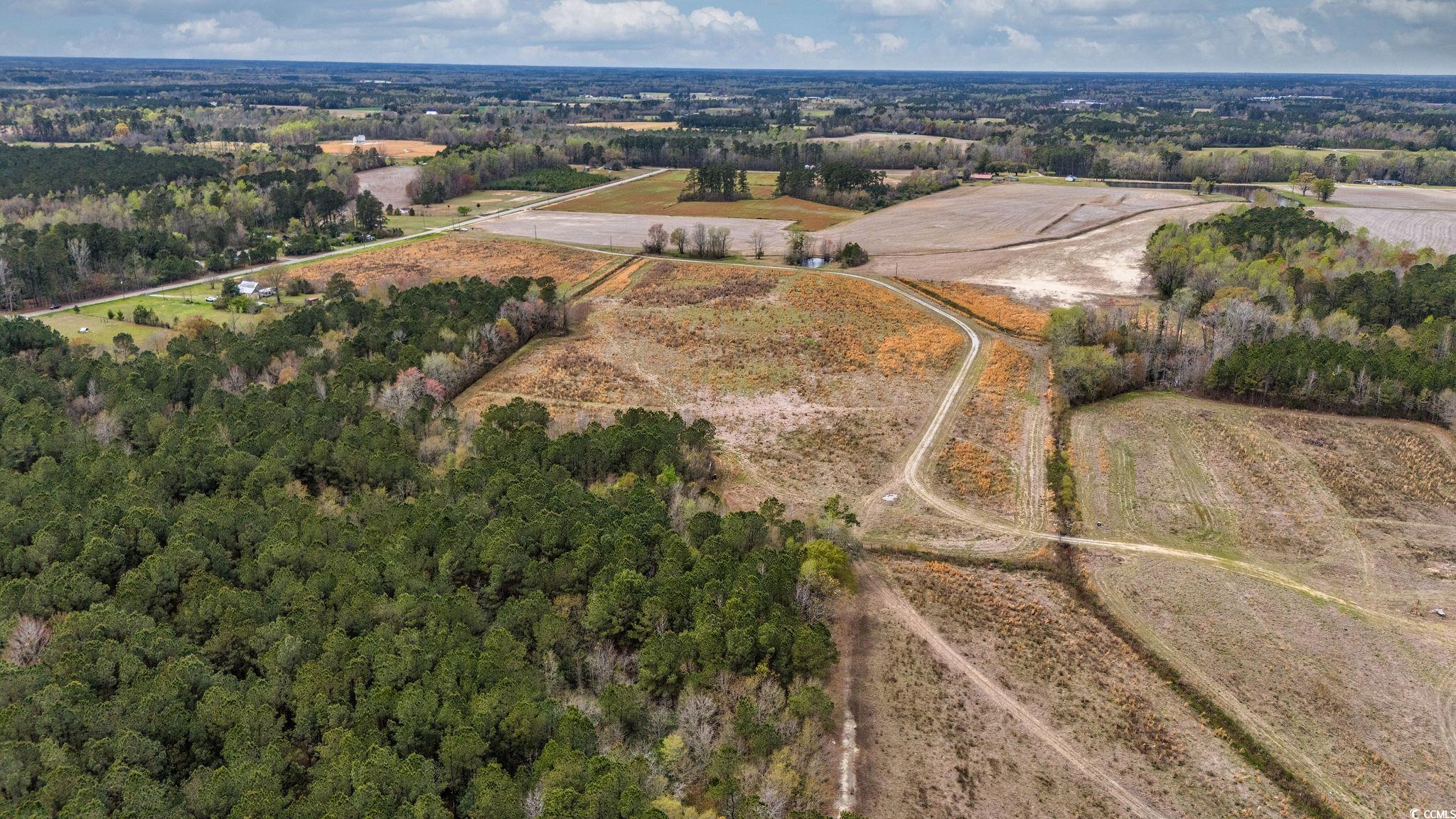 TBD Powell Rd., Green Sea, South Carolina image 7