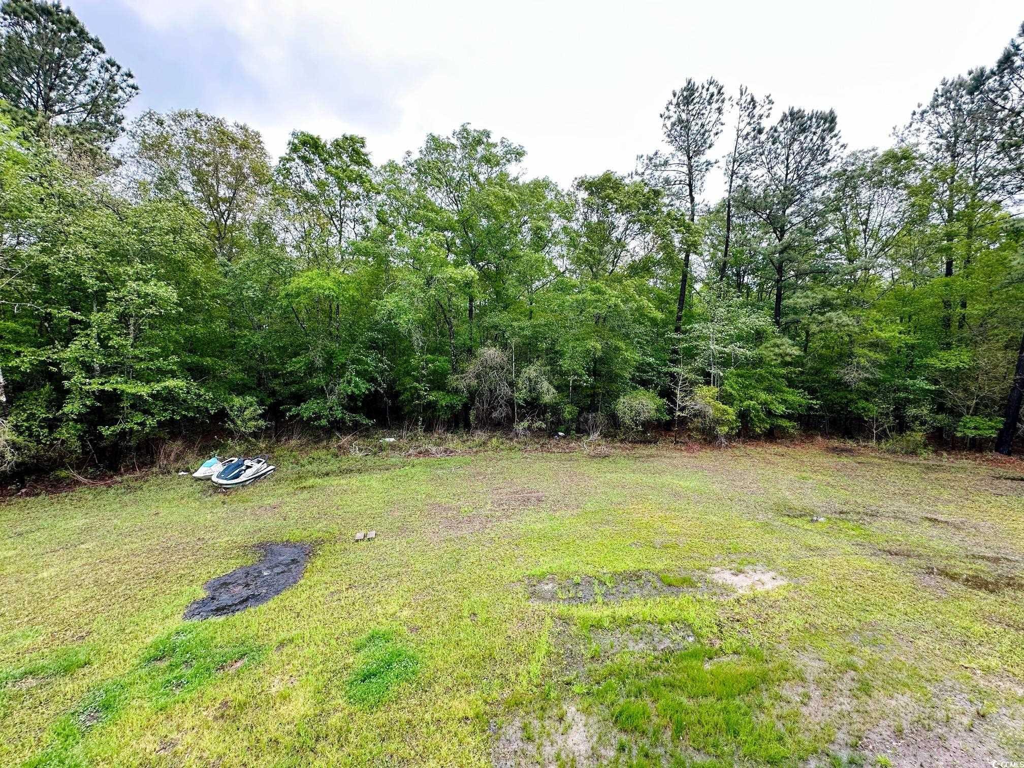2053 Lees Landing Circle, Conway, South Carolina image 2