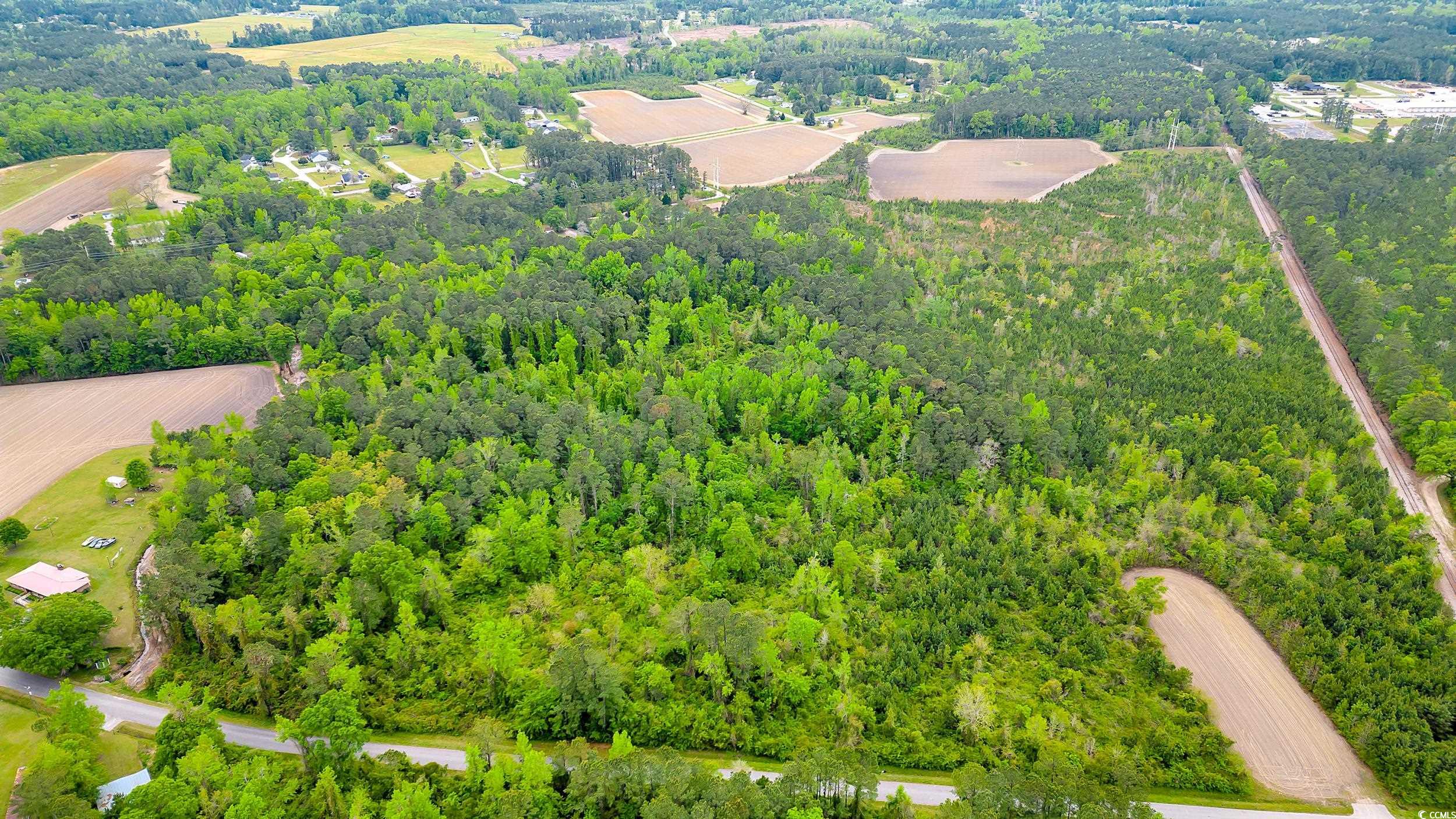 000 Byrd Rd., Conway, South Carolina image 8