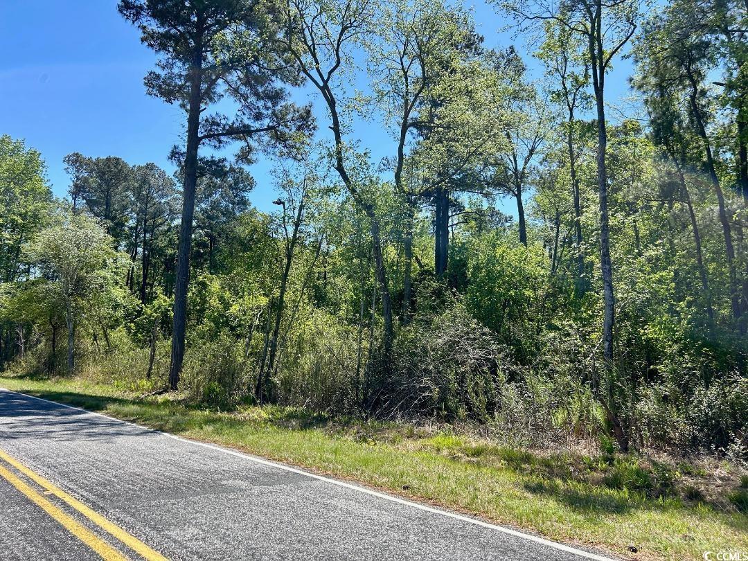 Hamp Rd., Marion, South Carolina image 2