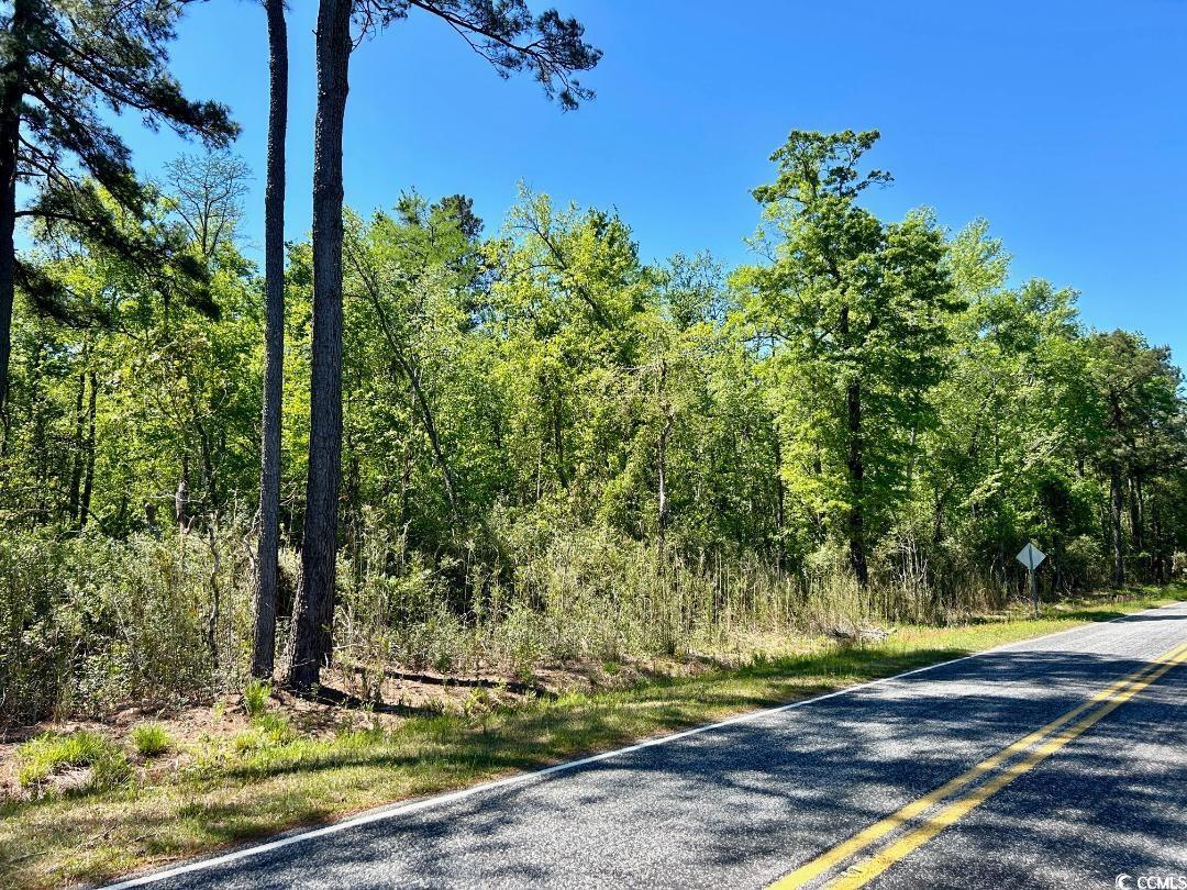 Hamp Rd., Marion, South Carolina image 3