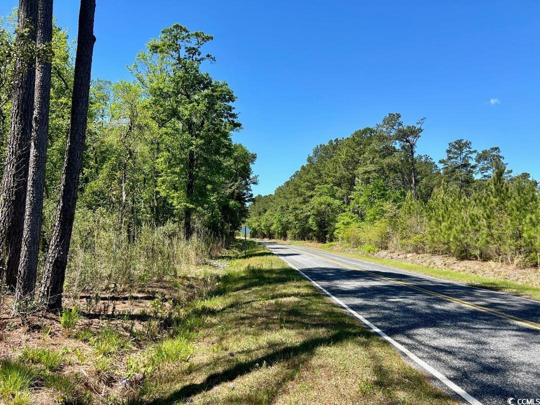 Hamp Rd., Marion, South Carolina image 4