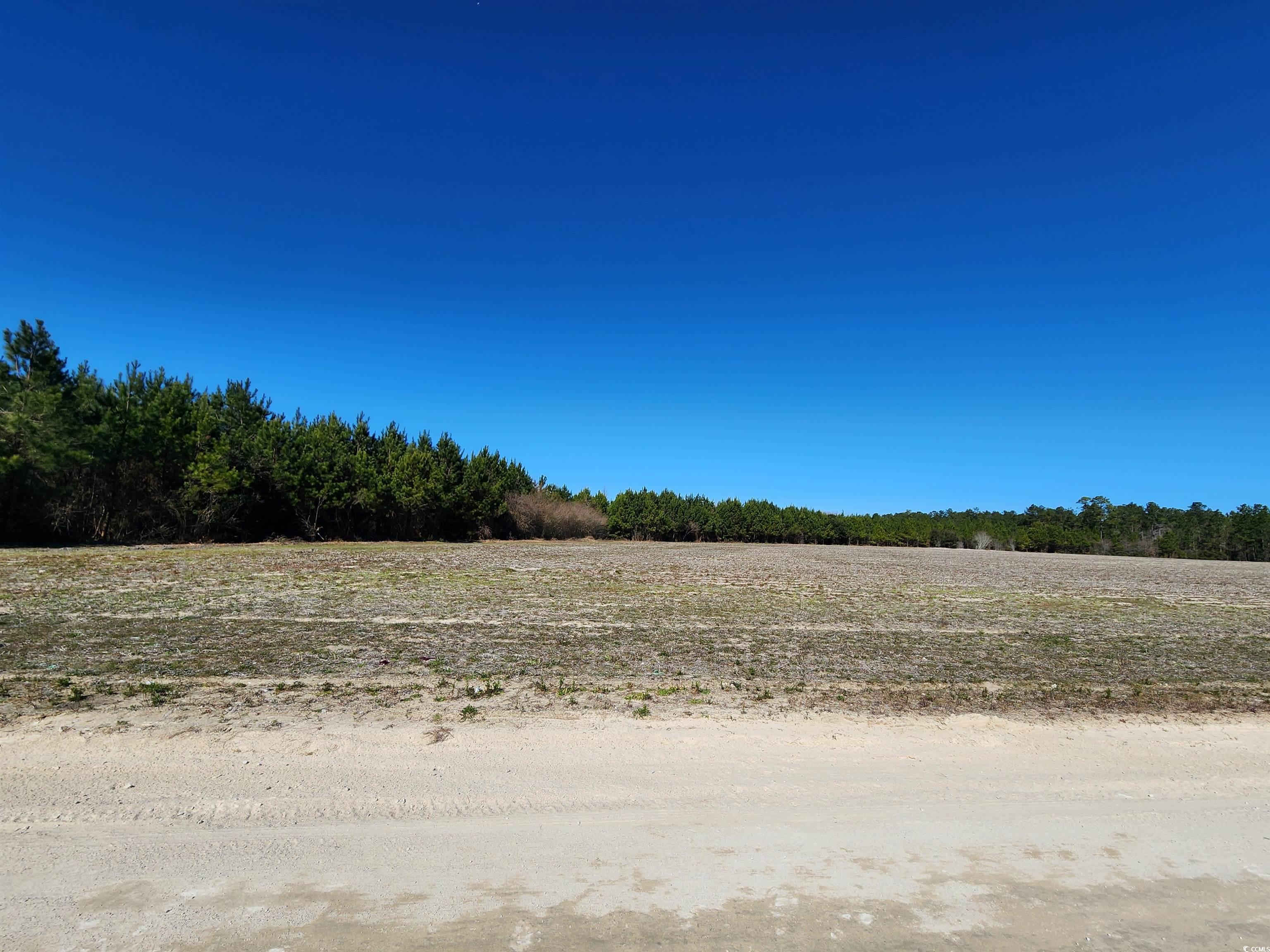 TBD Tansy Rd. Loris, SC 29569