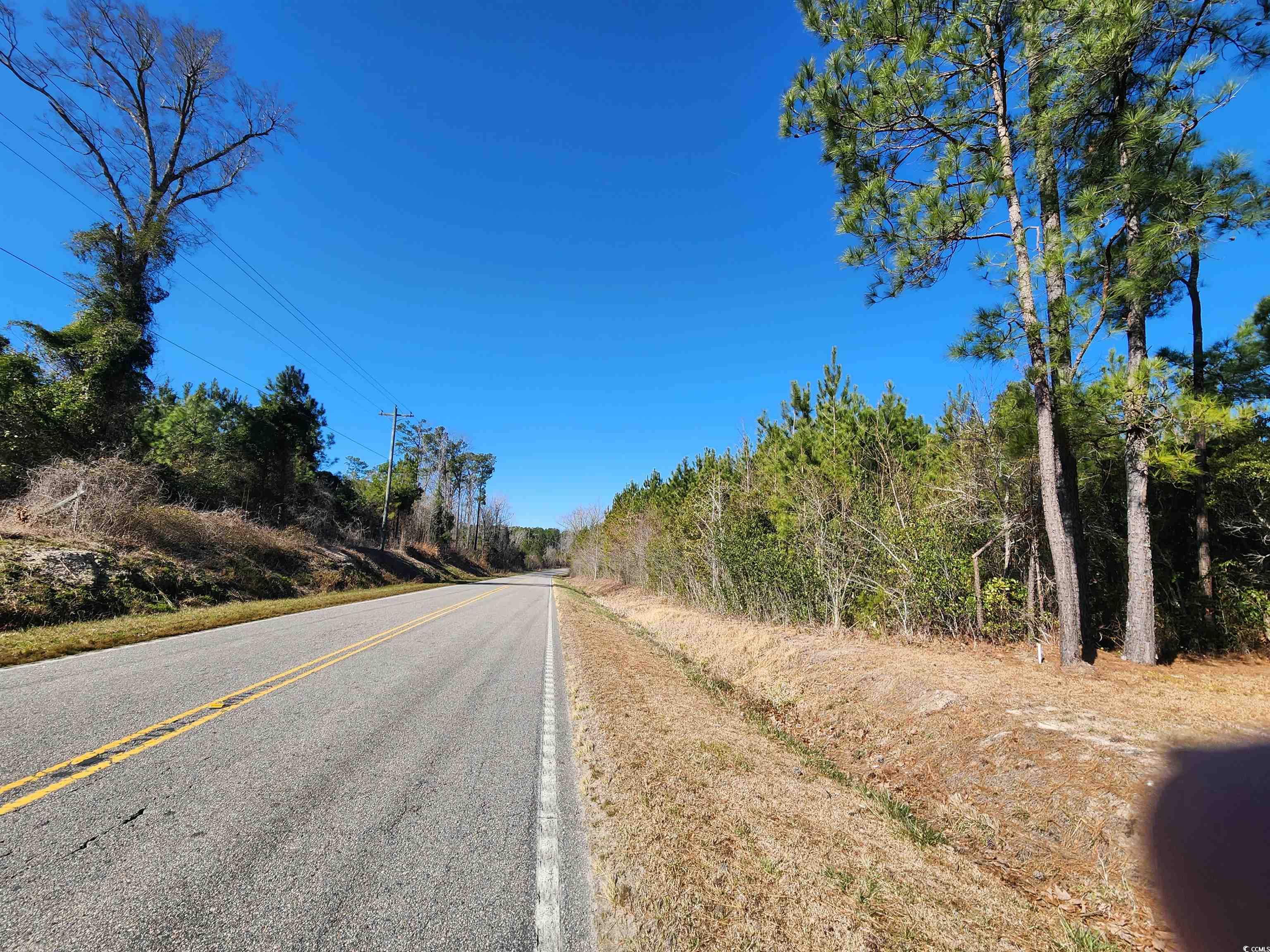 TBD Daisy Rd., Loris, South Carolina image 3