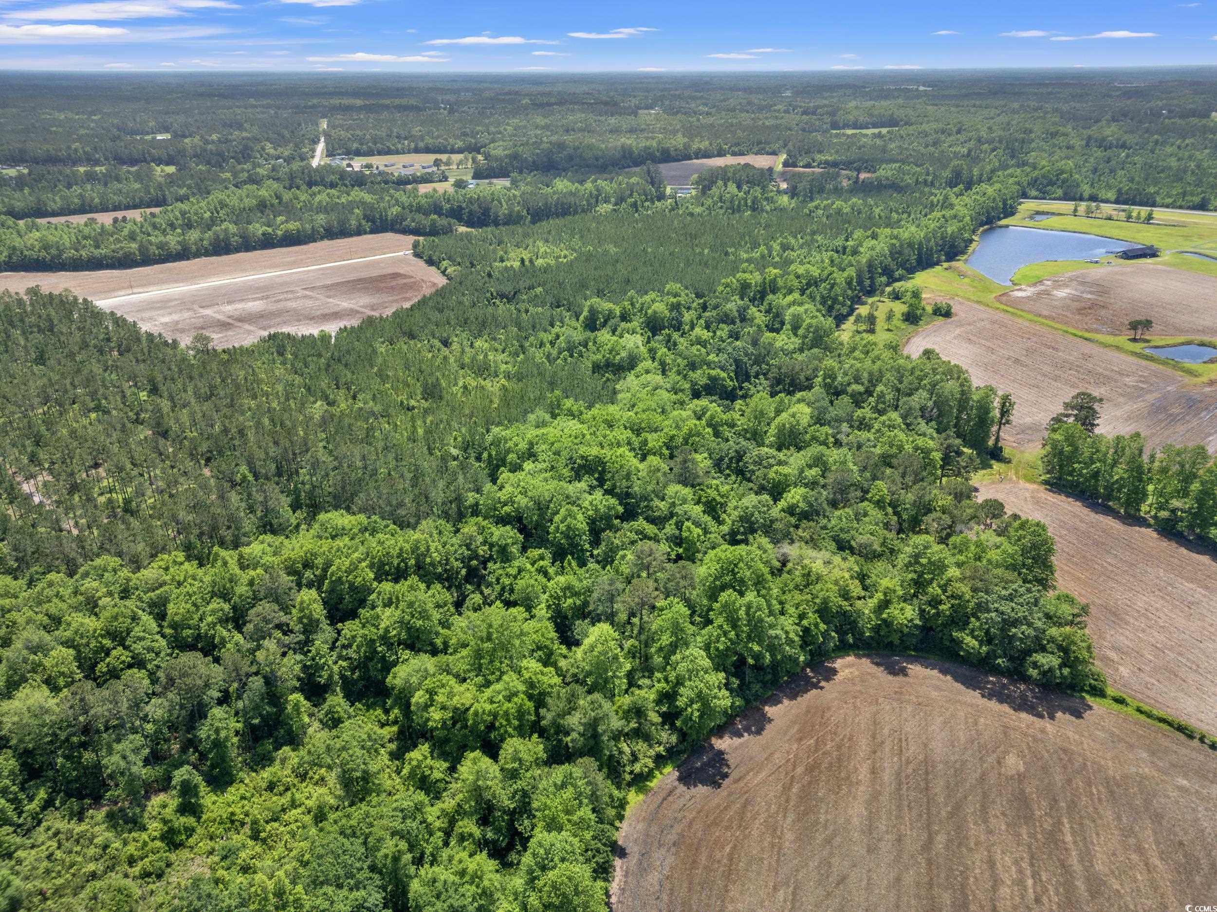 TBD Daisy Rd., Loris, South Carolina image 4