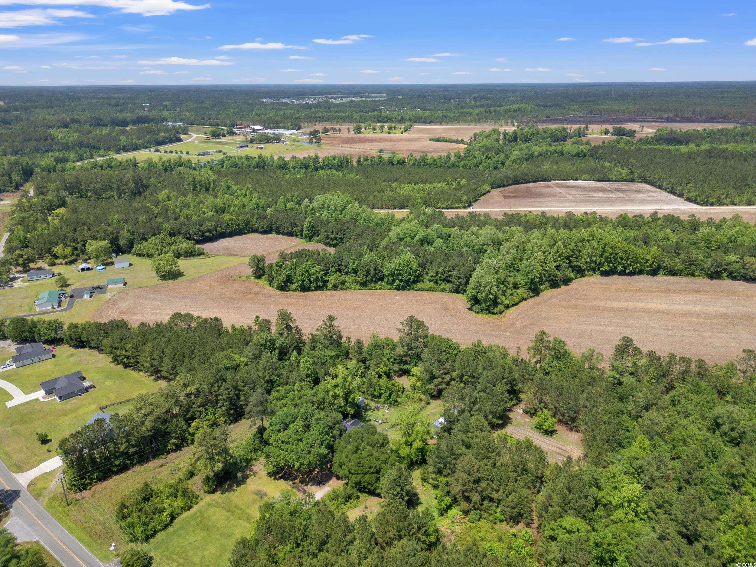 TBD Daisy Rd., Loris, South Carolina image 1