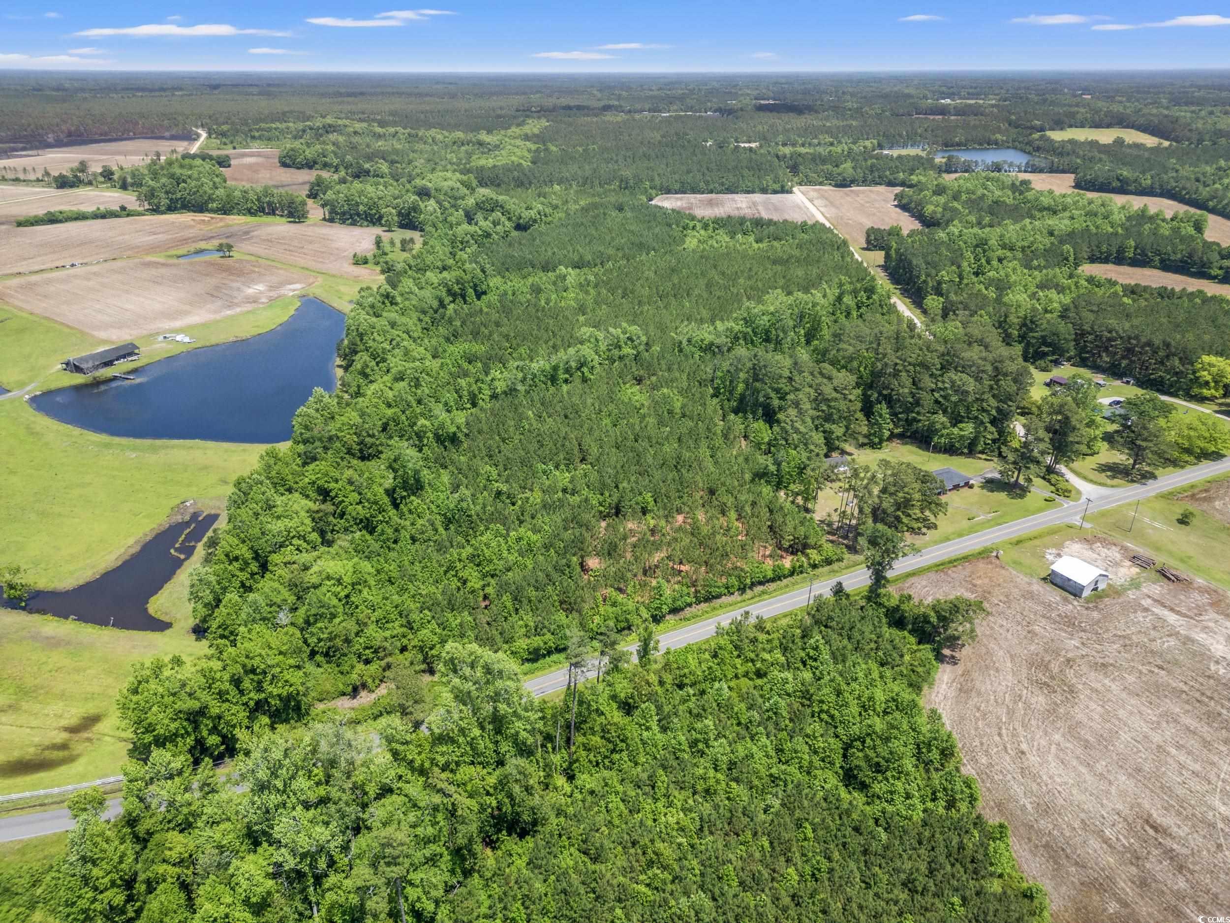 TBD Daisy Rd., Loris, South Carolina image 5