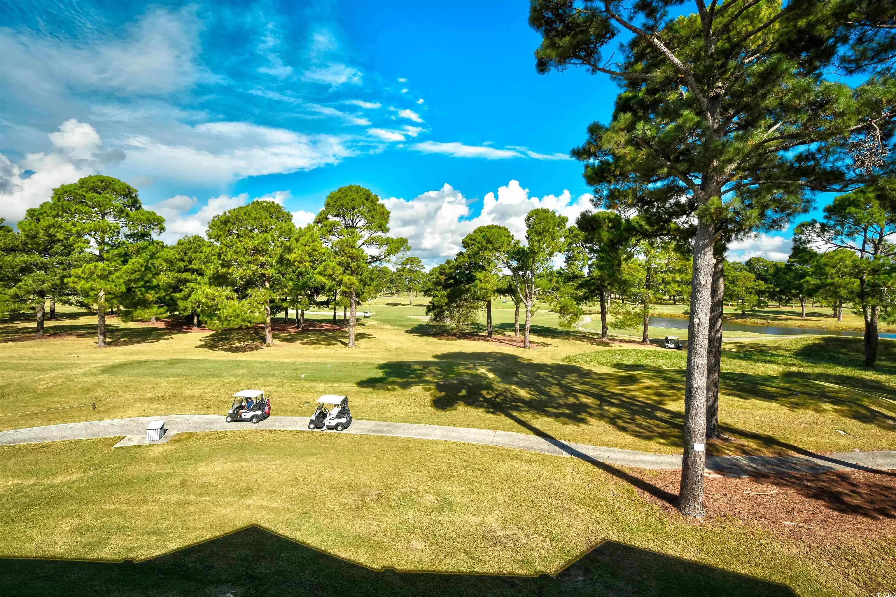 4661 Wild Iris Dr. #102, Myrtle Beach, South Carolina image 21