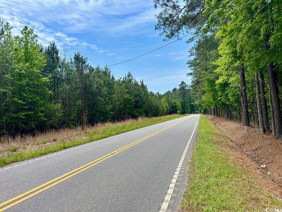 Heatherwood Rd., Marion, South Carolina image 3