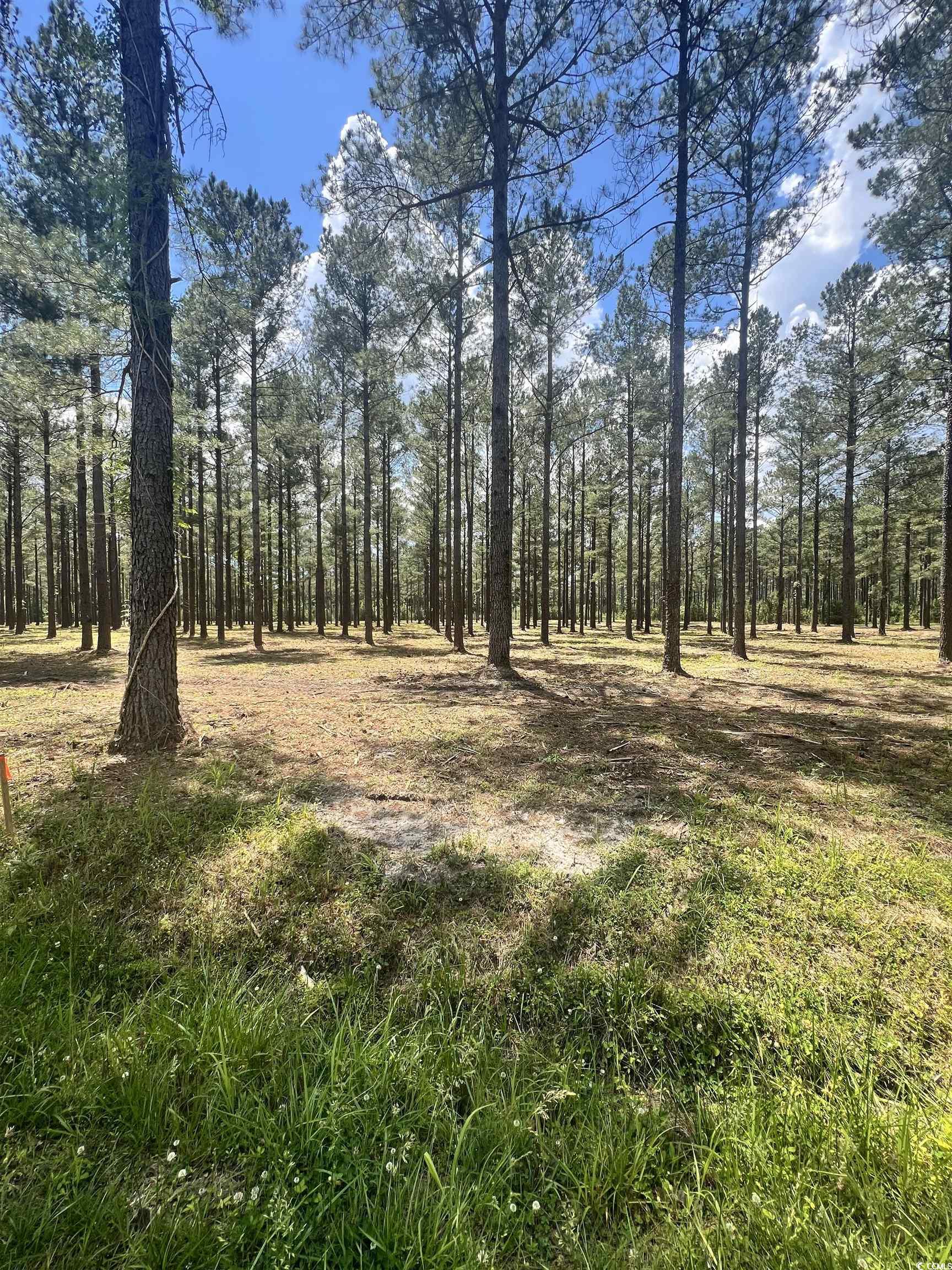 Lot 1 Ashley Circle Conway, SC 29526