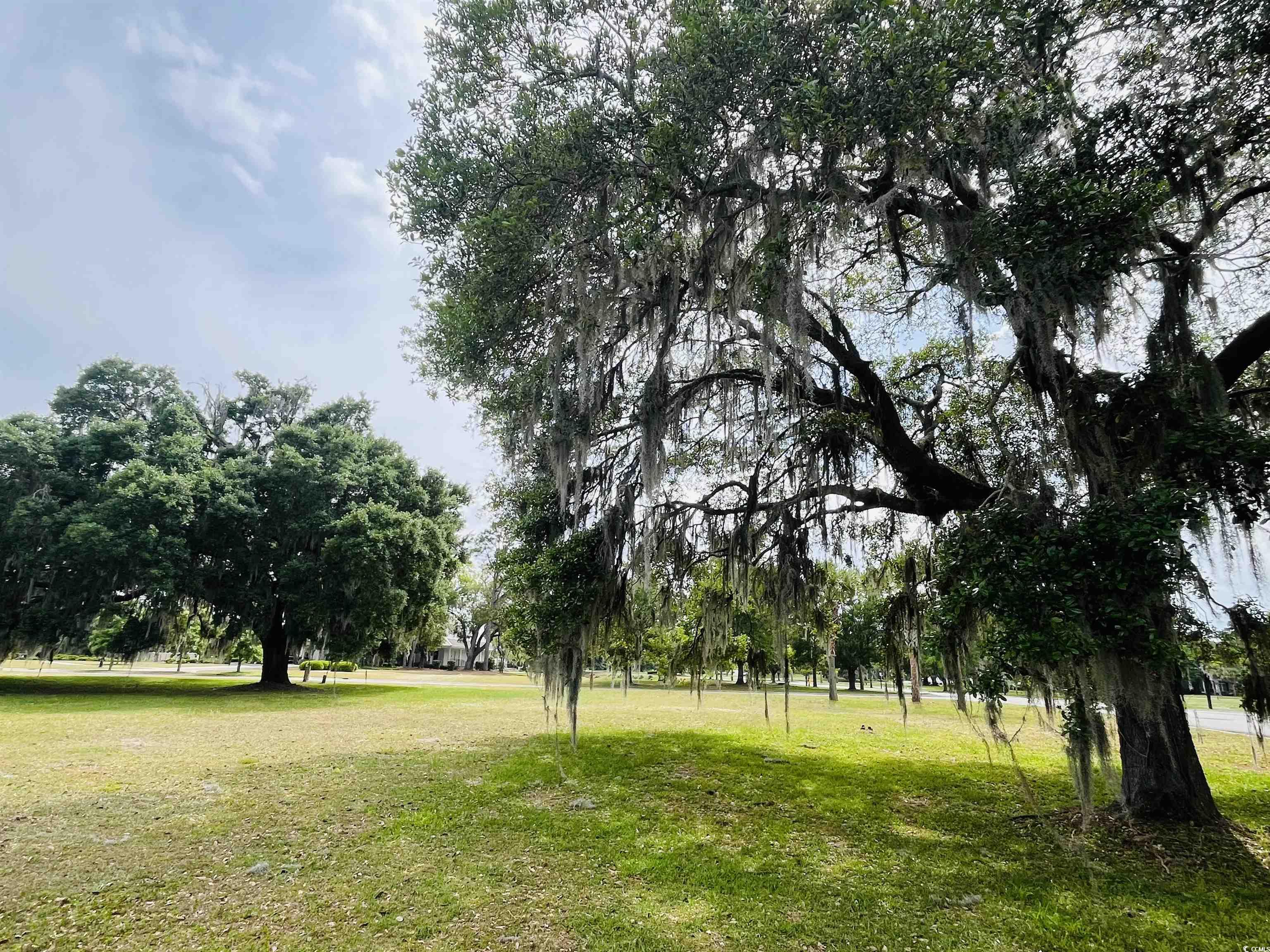 Millbrook Rd. Georgetown, SC 29440