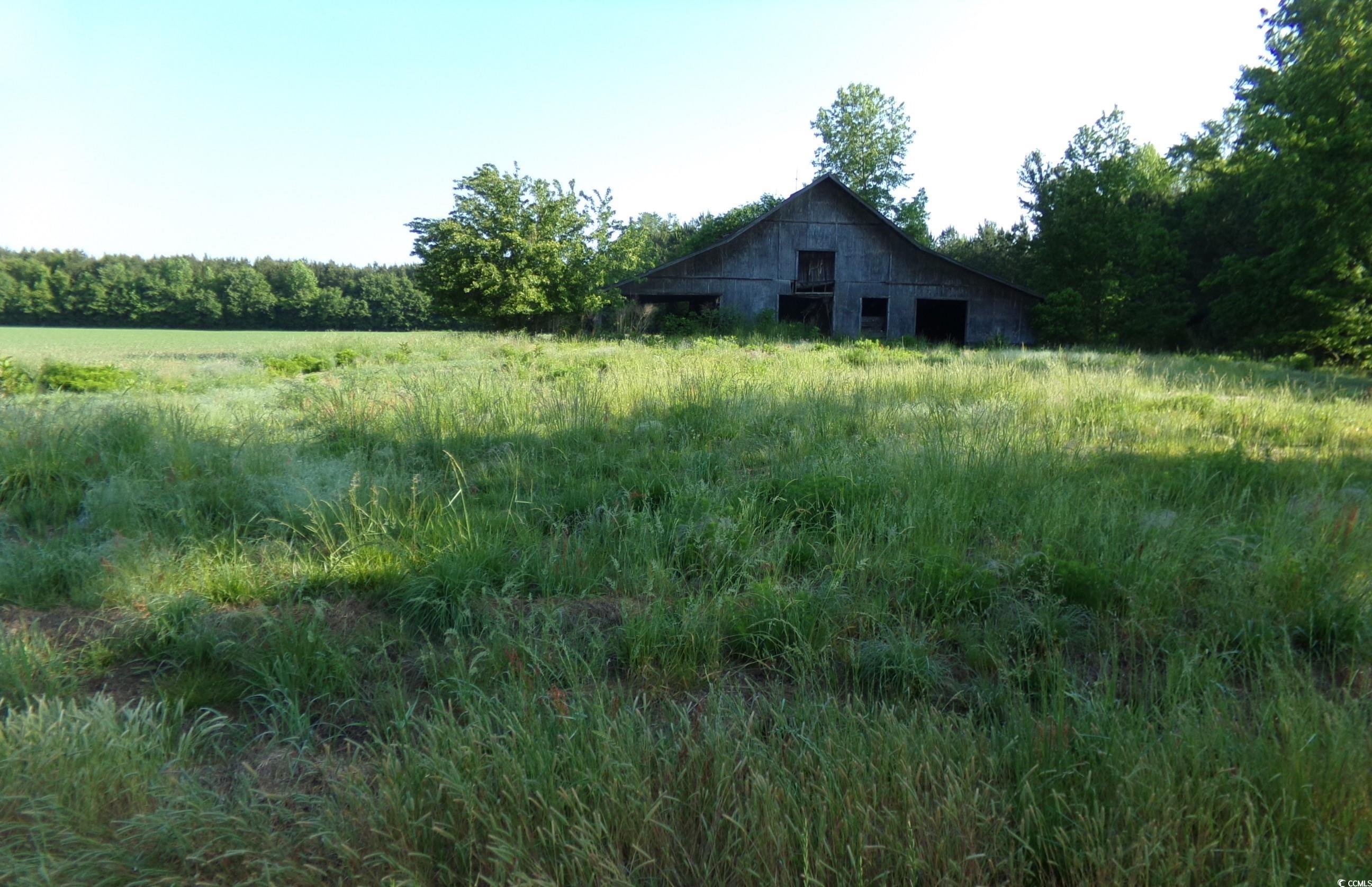 5369 Hamps Rd., Nichols, South Carolina image 1